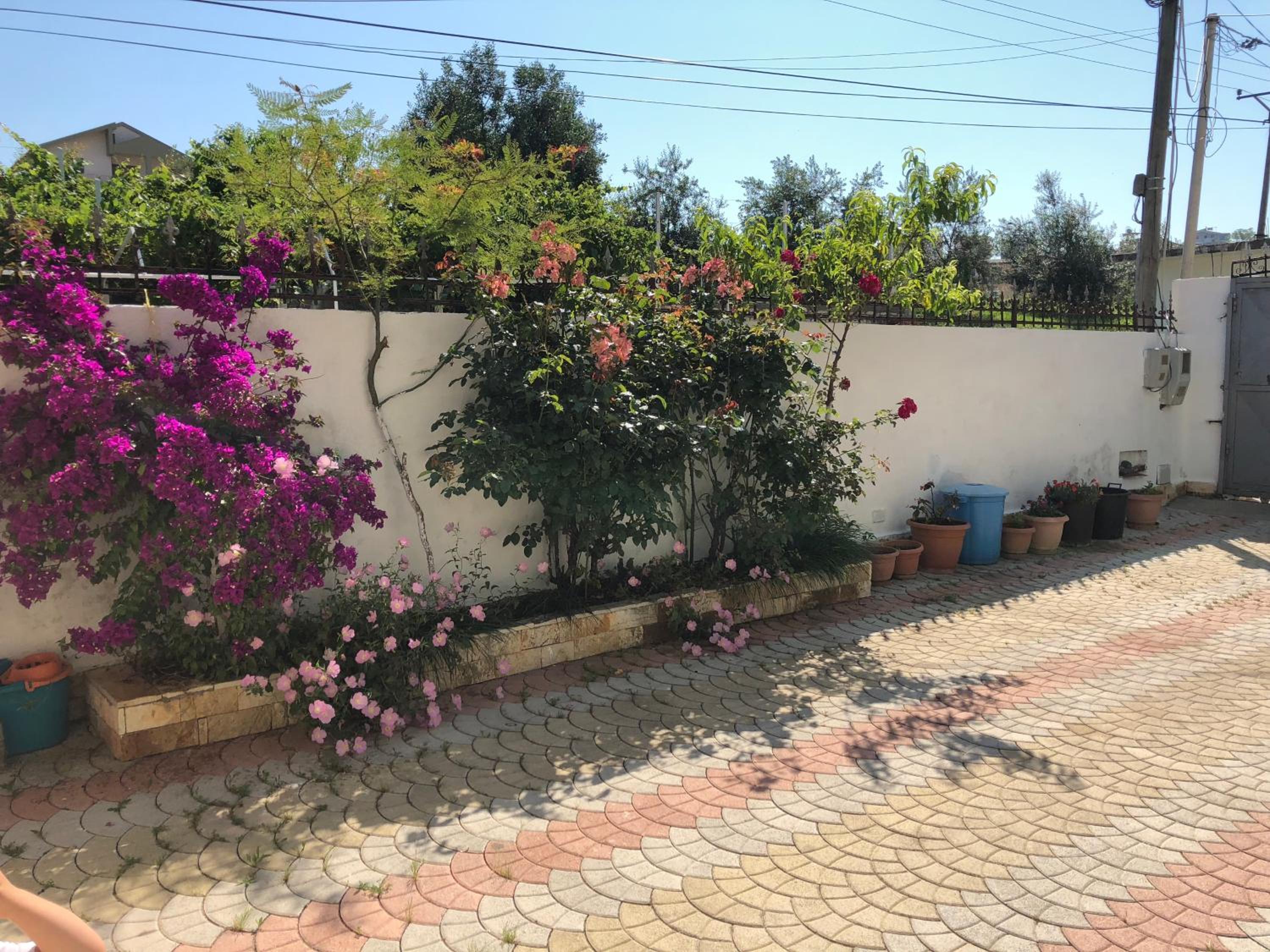 Guest House 