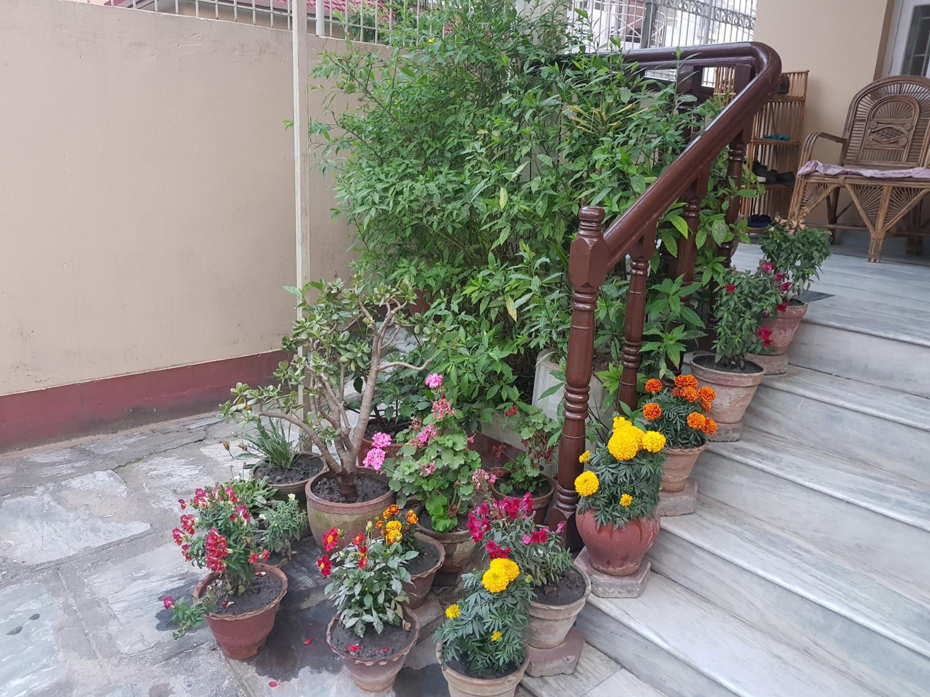 Photo 49