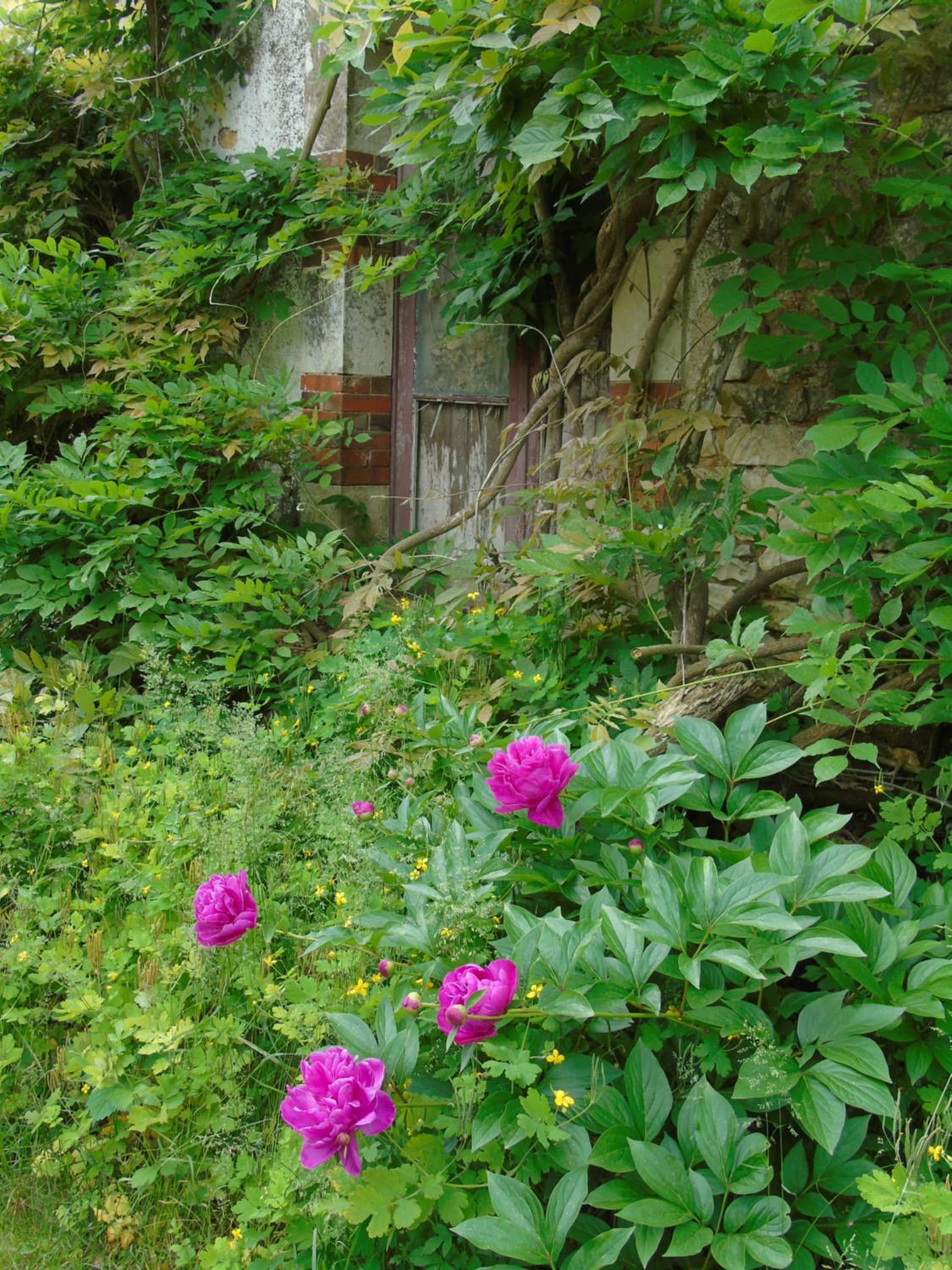 Eco Logis de Chantegrolle