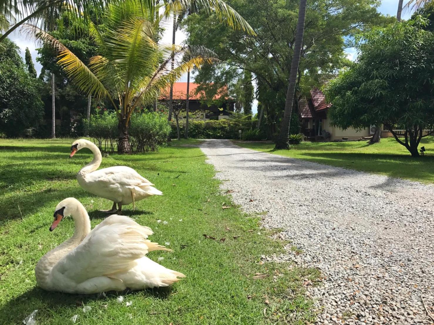 Fisherman Way Beach Villa
