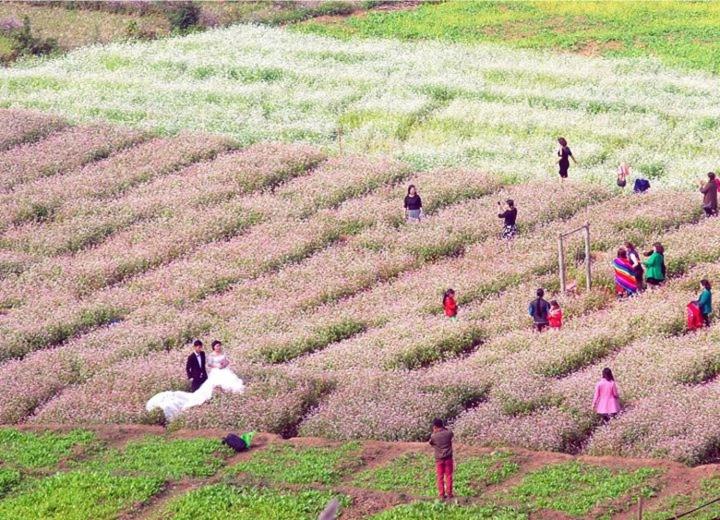 Nhà Nghỉ Hạnh Phúc view 4
