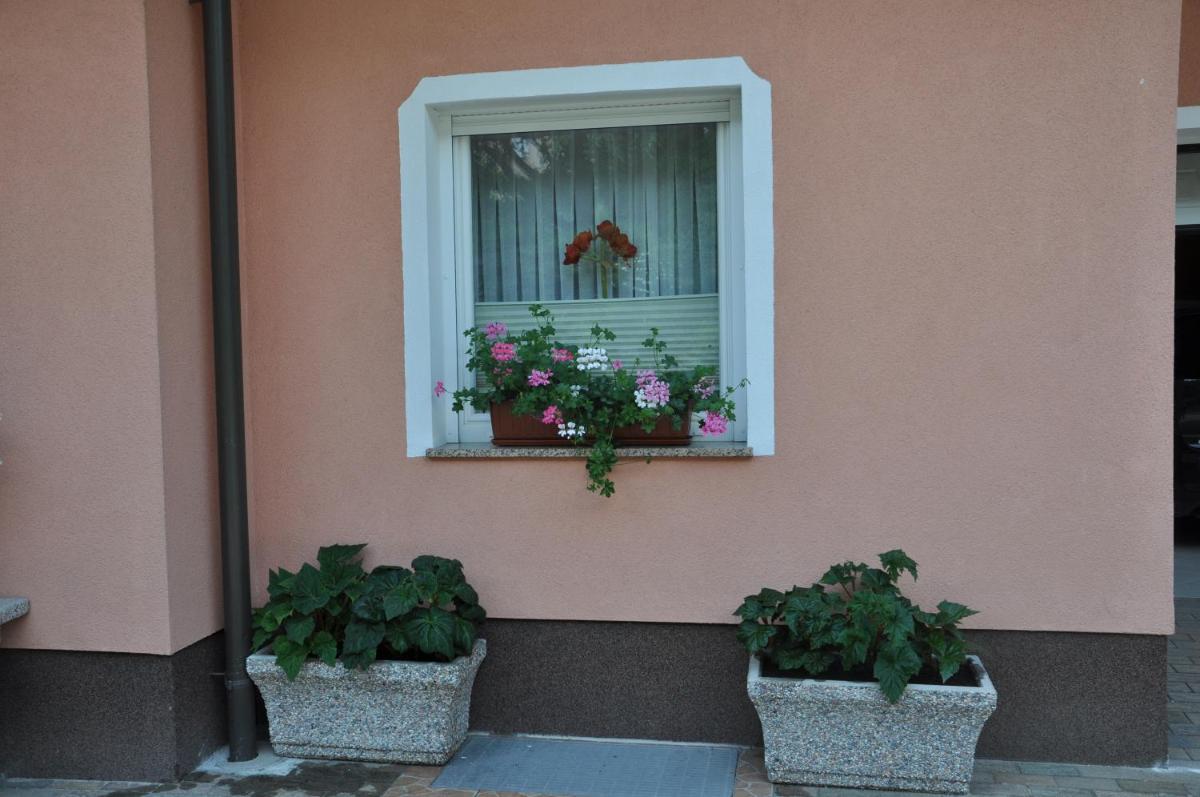 Photo 37