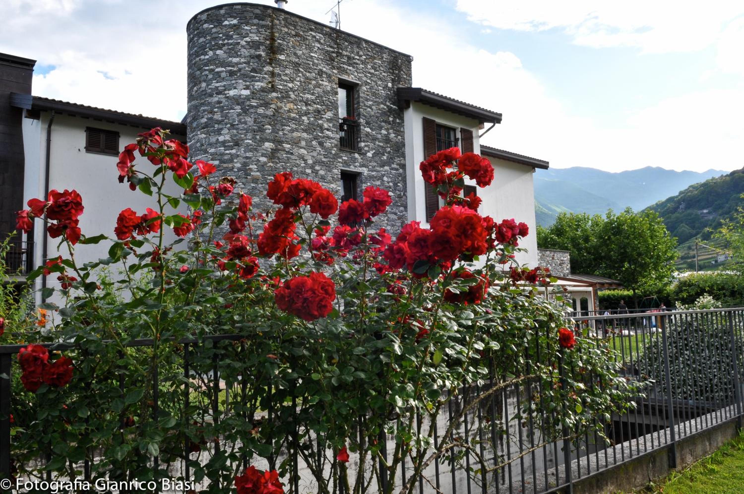 Agriturismo Cà Del Lago