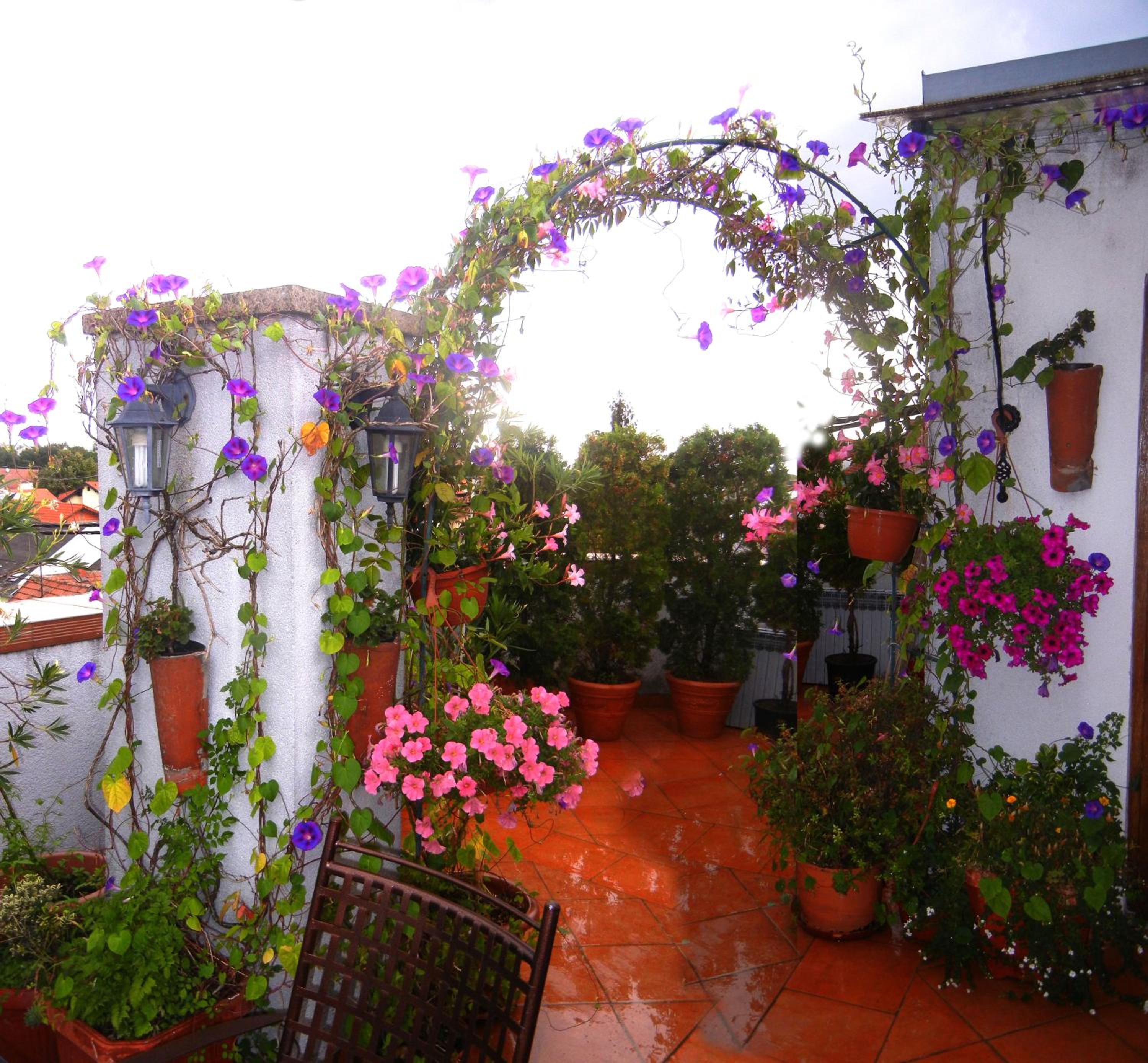 Photo 47