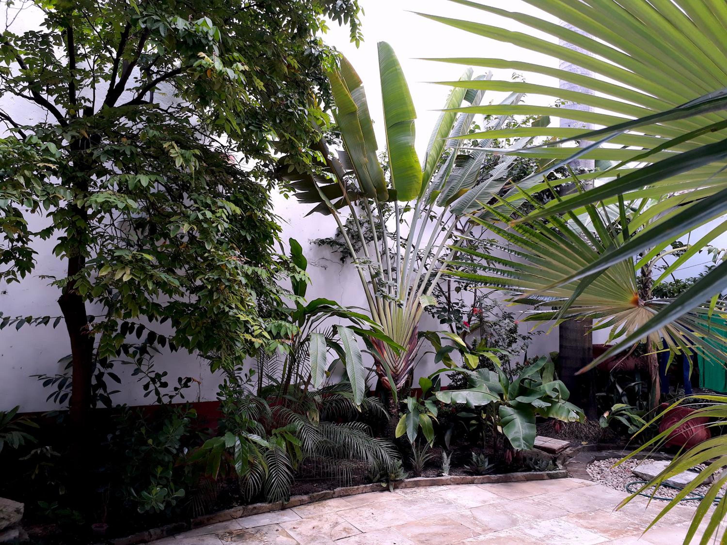 Casa Lavinia