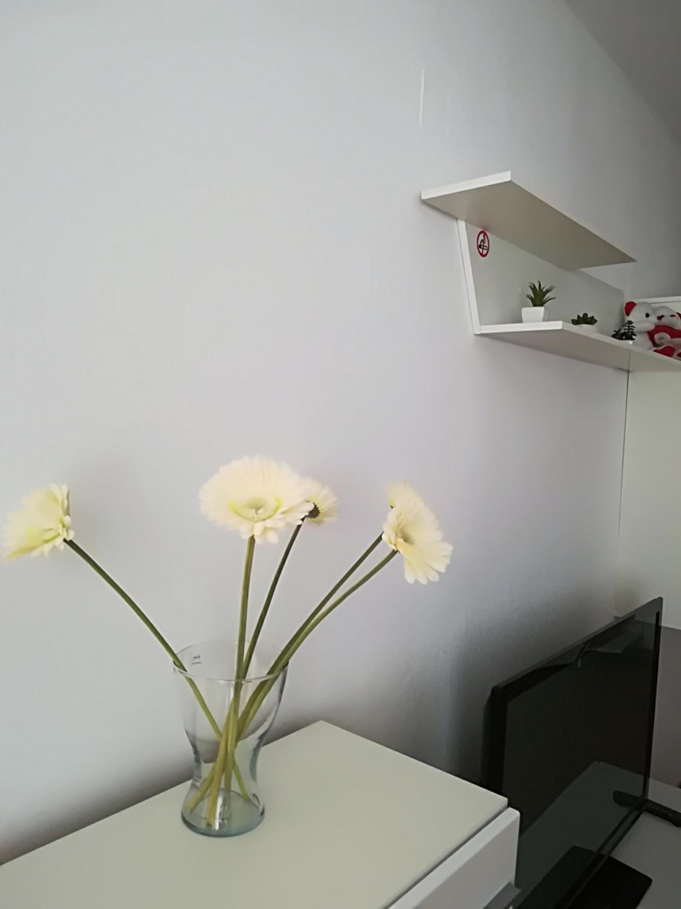 Cocoa Apartment view 4