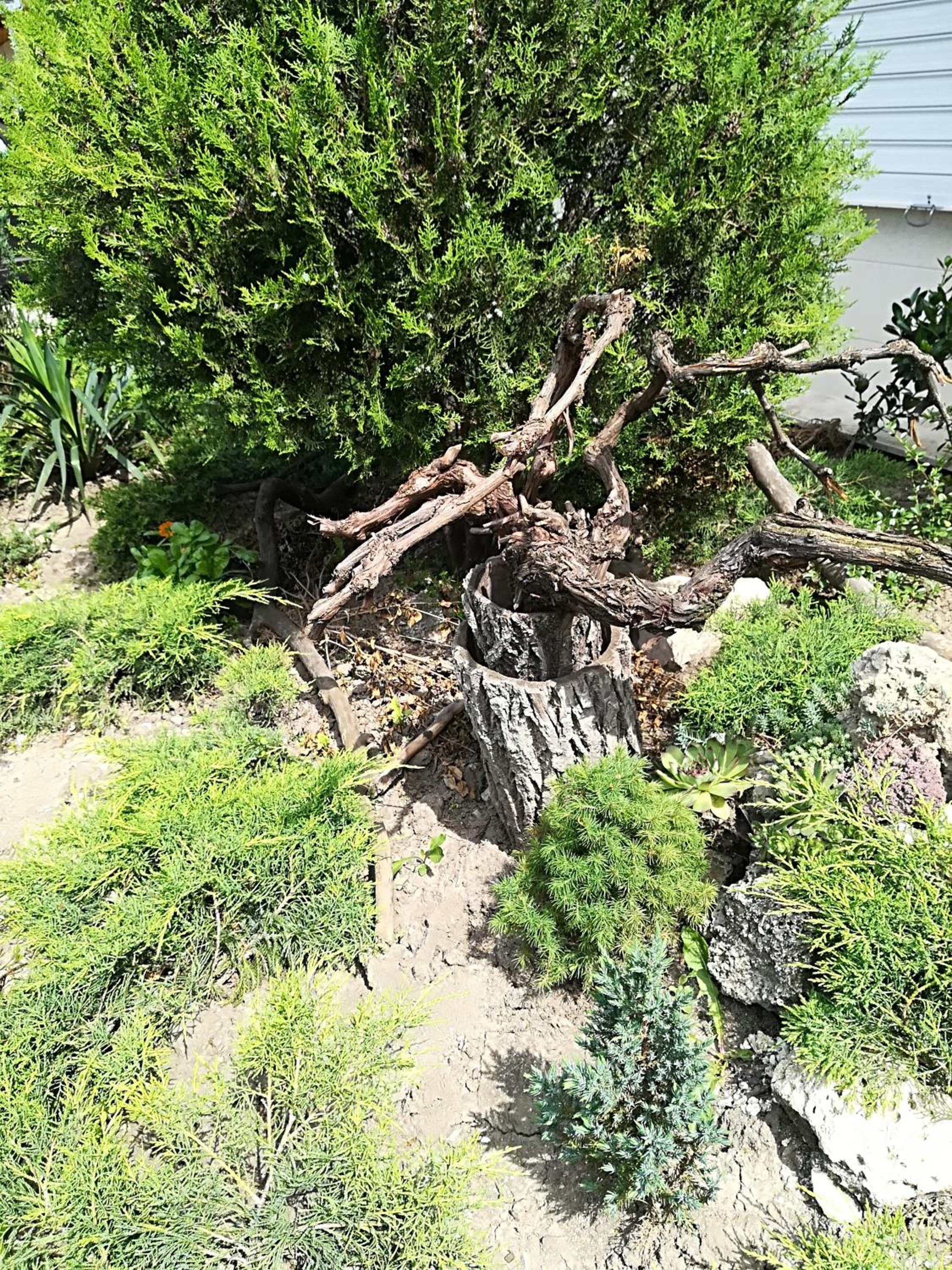 Photo 6