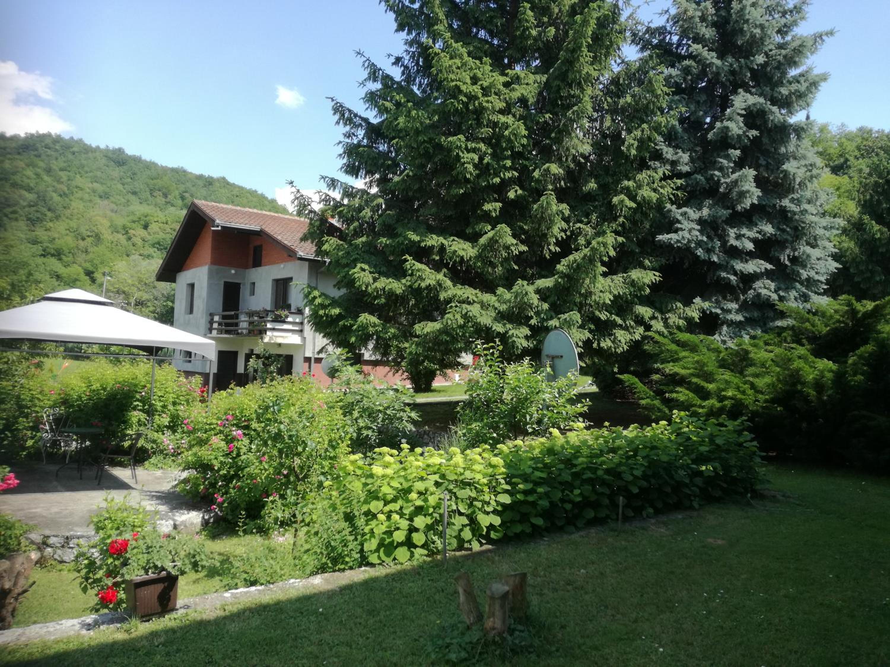 Photo 20