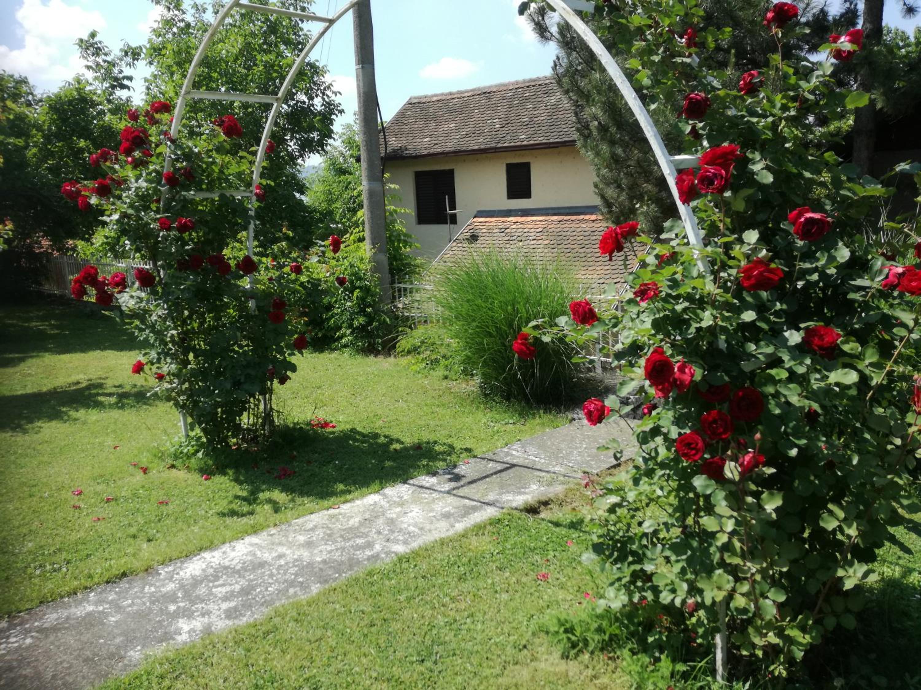 Photo 22