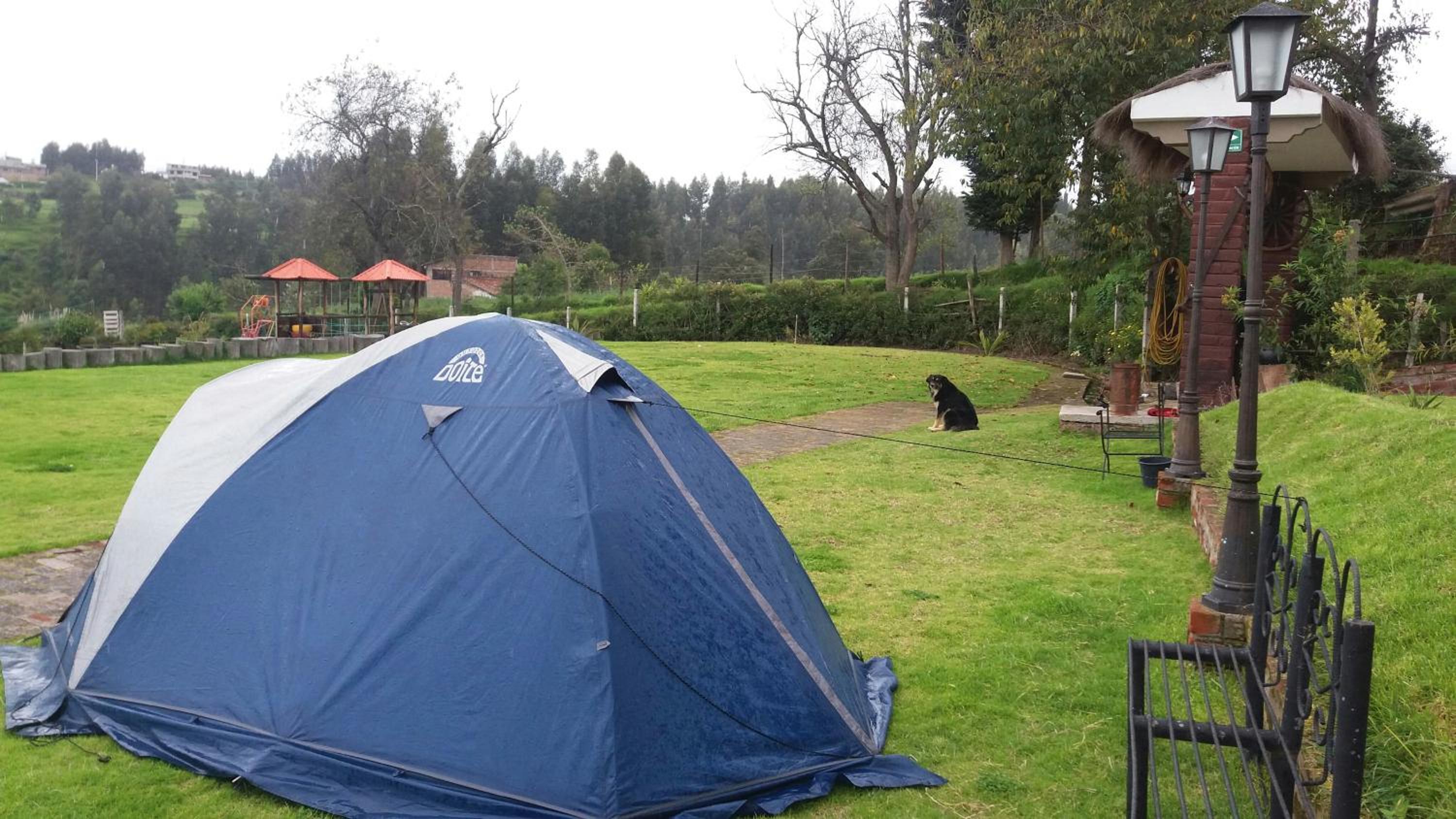 Campo Wasi