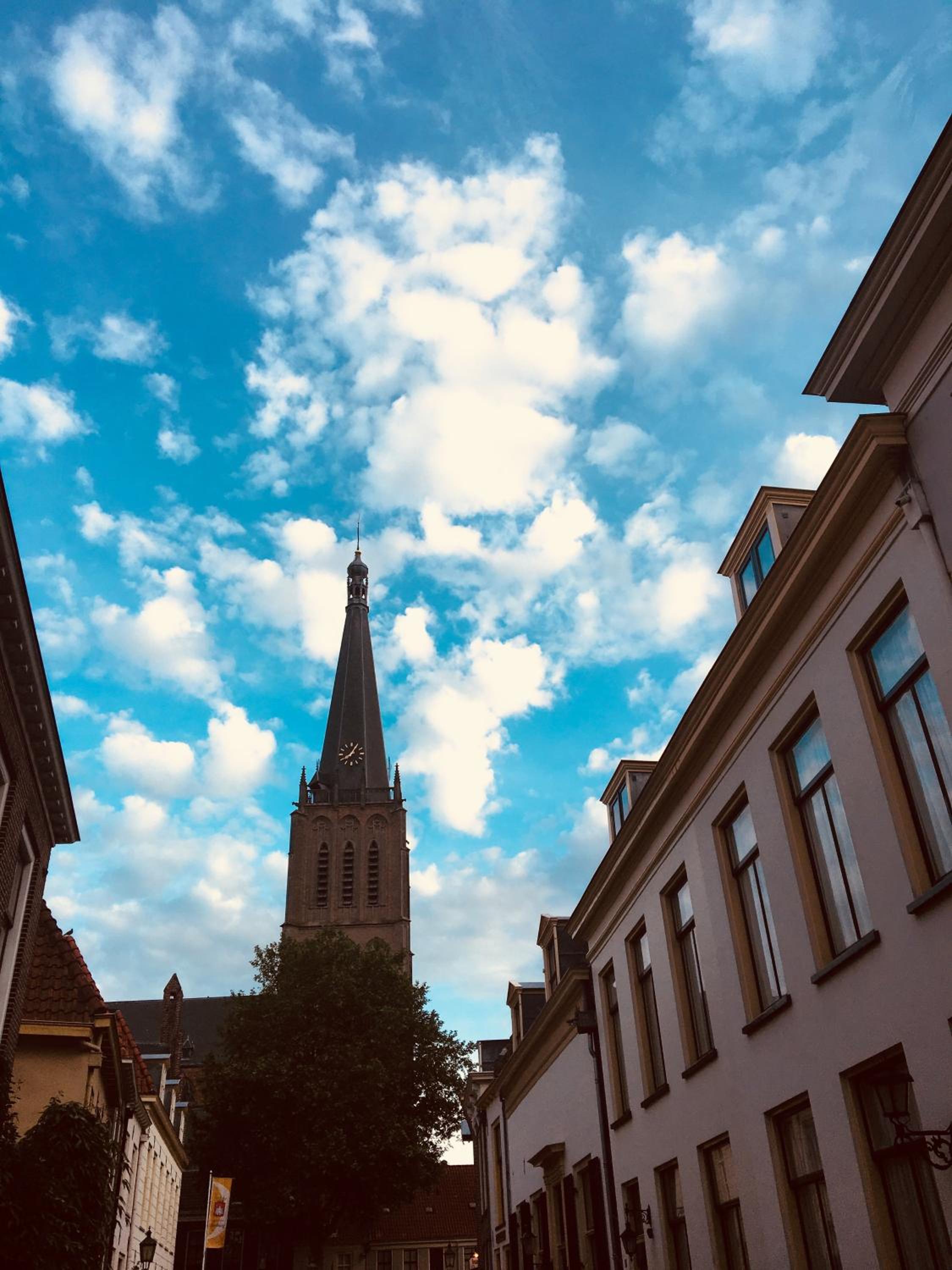 Photo 19