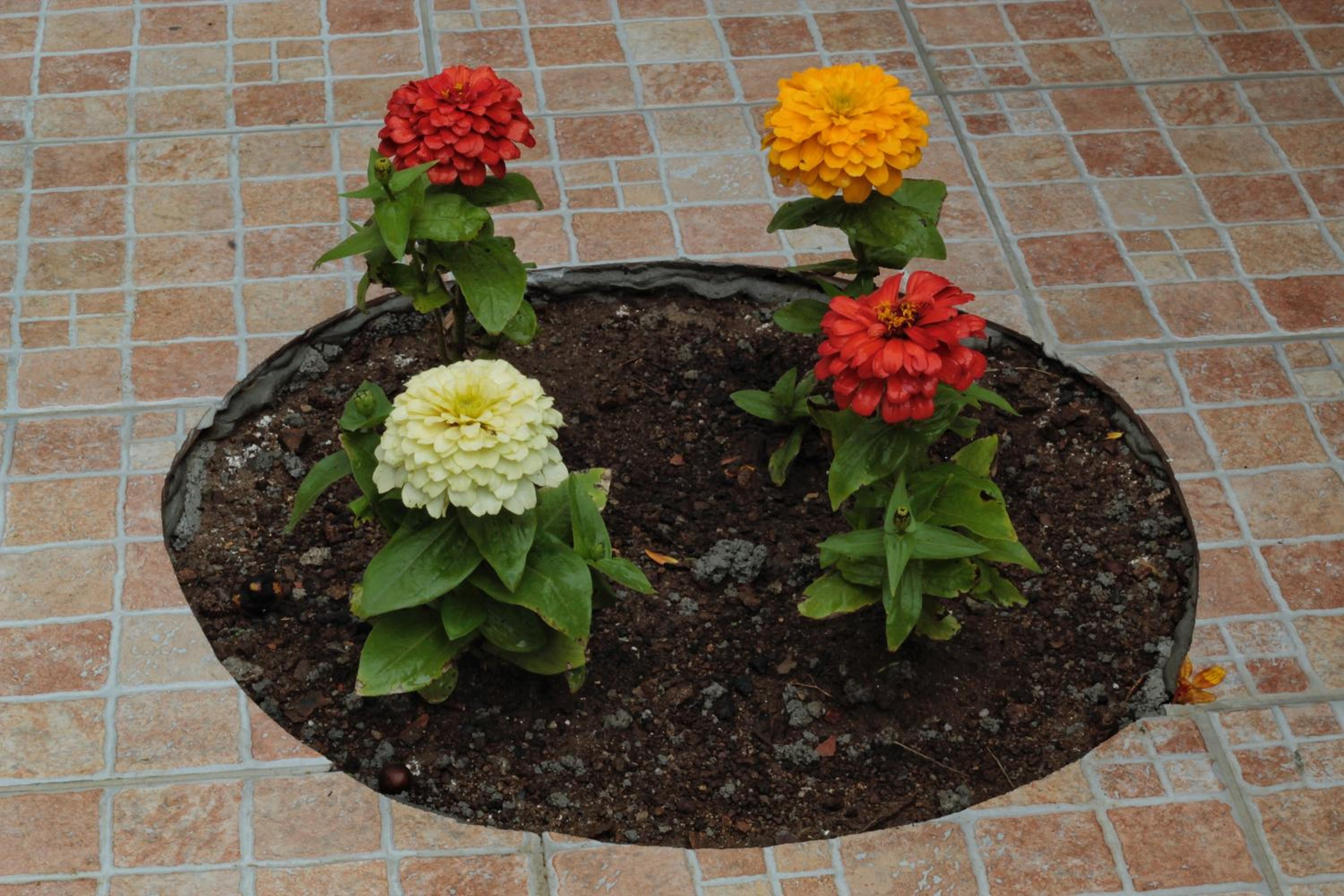 B&B Verzavò
