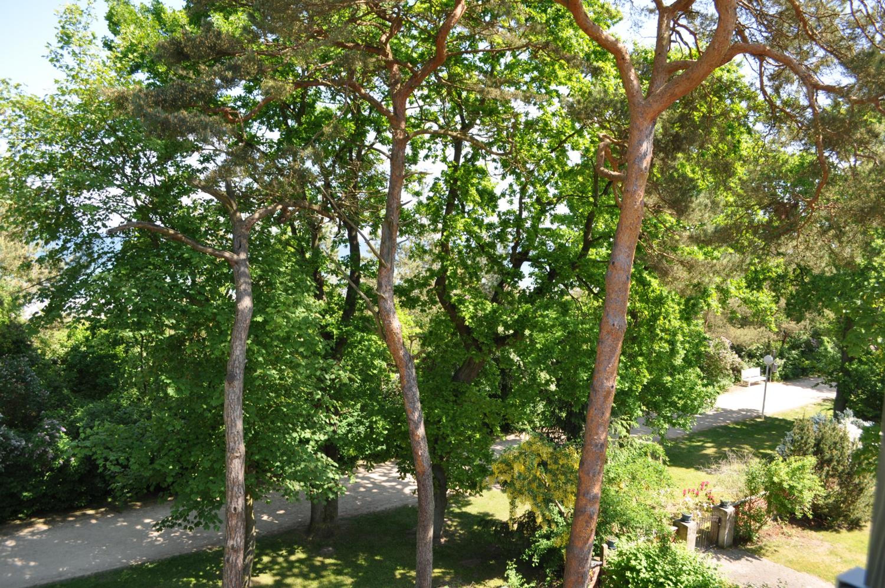 Strandvilla Waldhaus