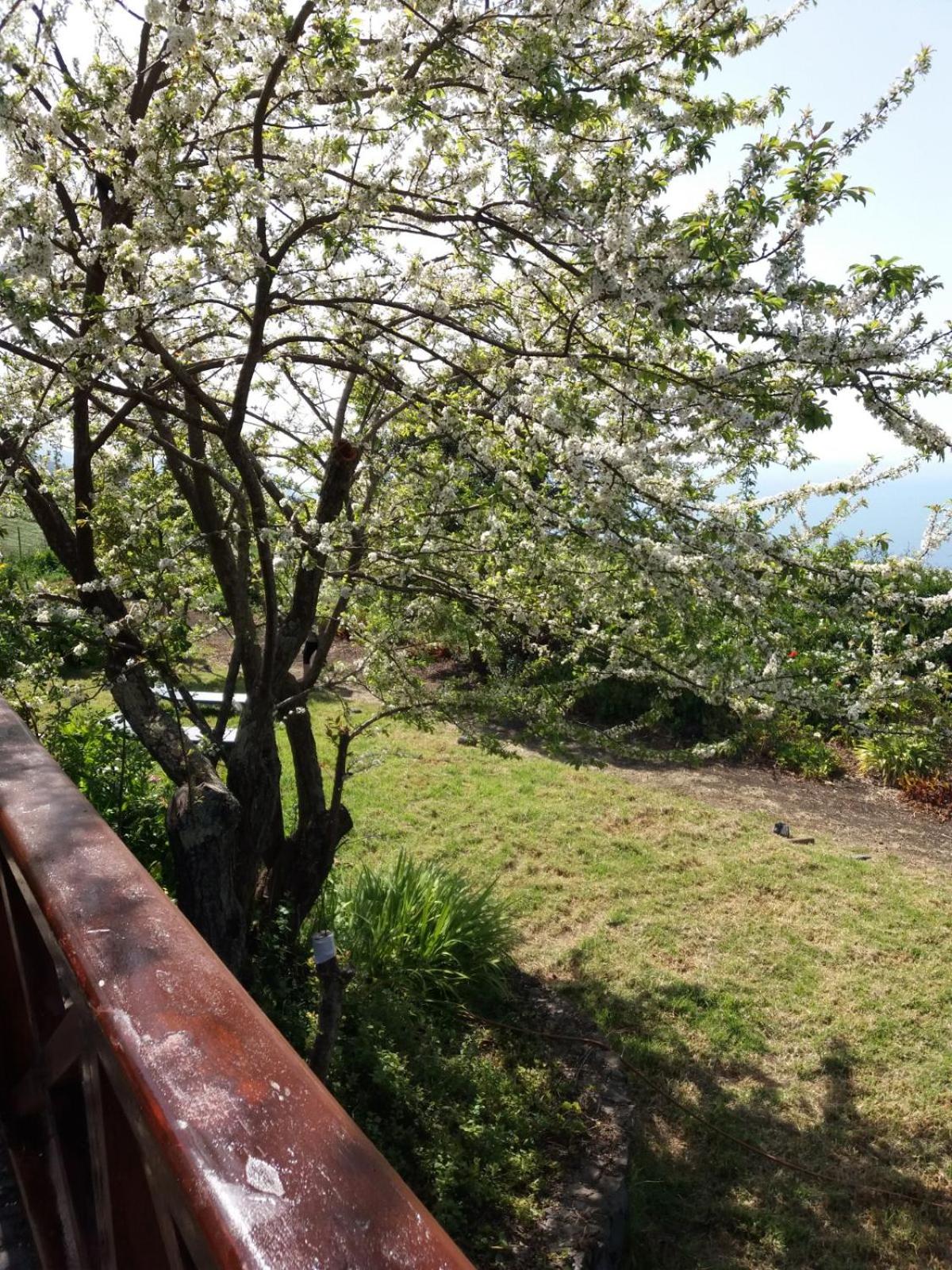 Casas Los Abuelos De Calderon