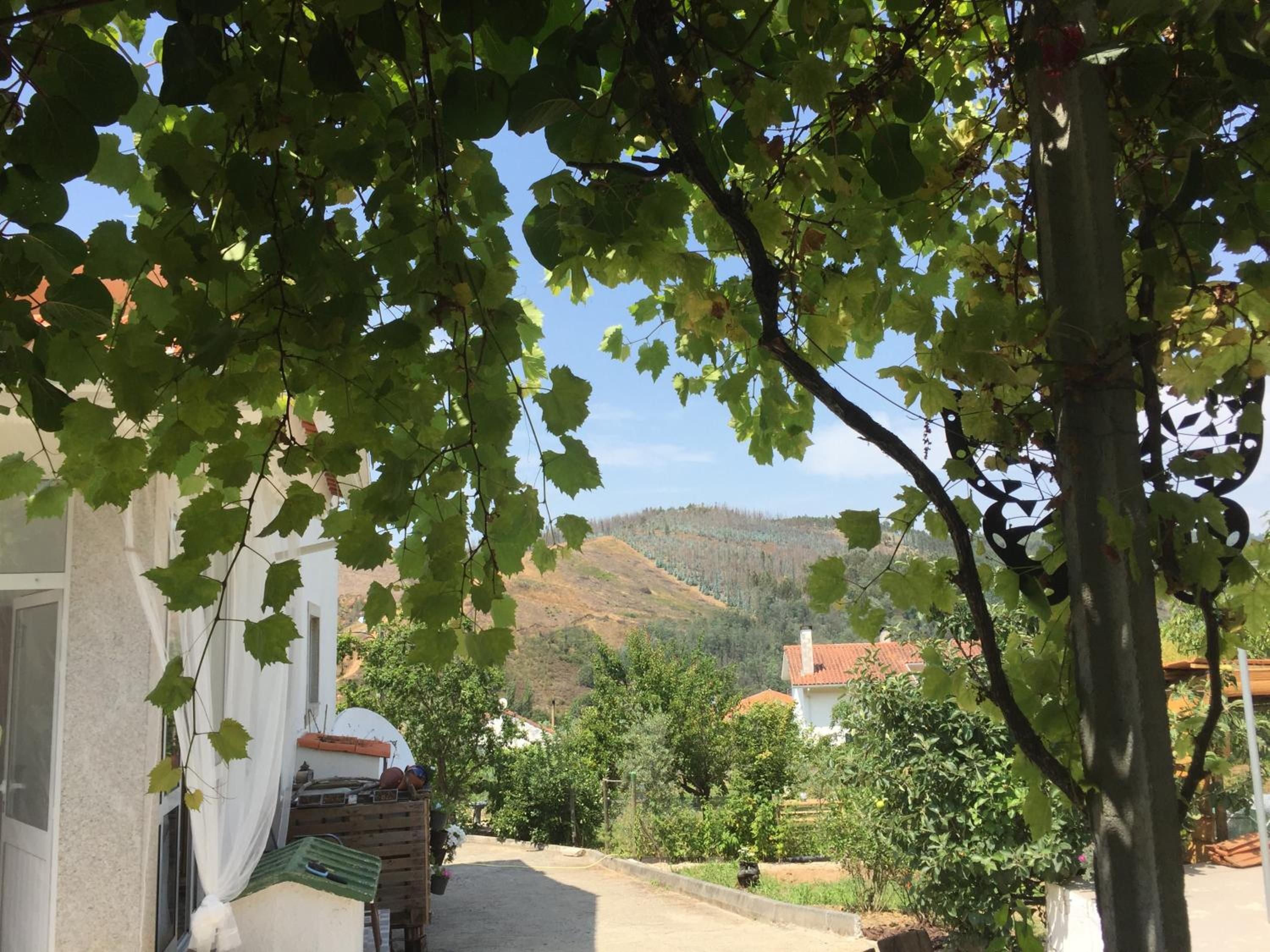Casa Traca, photo 69