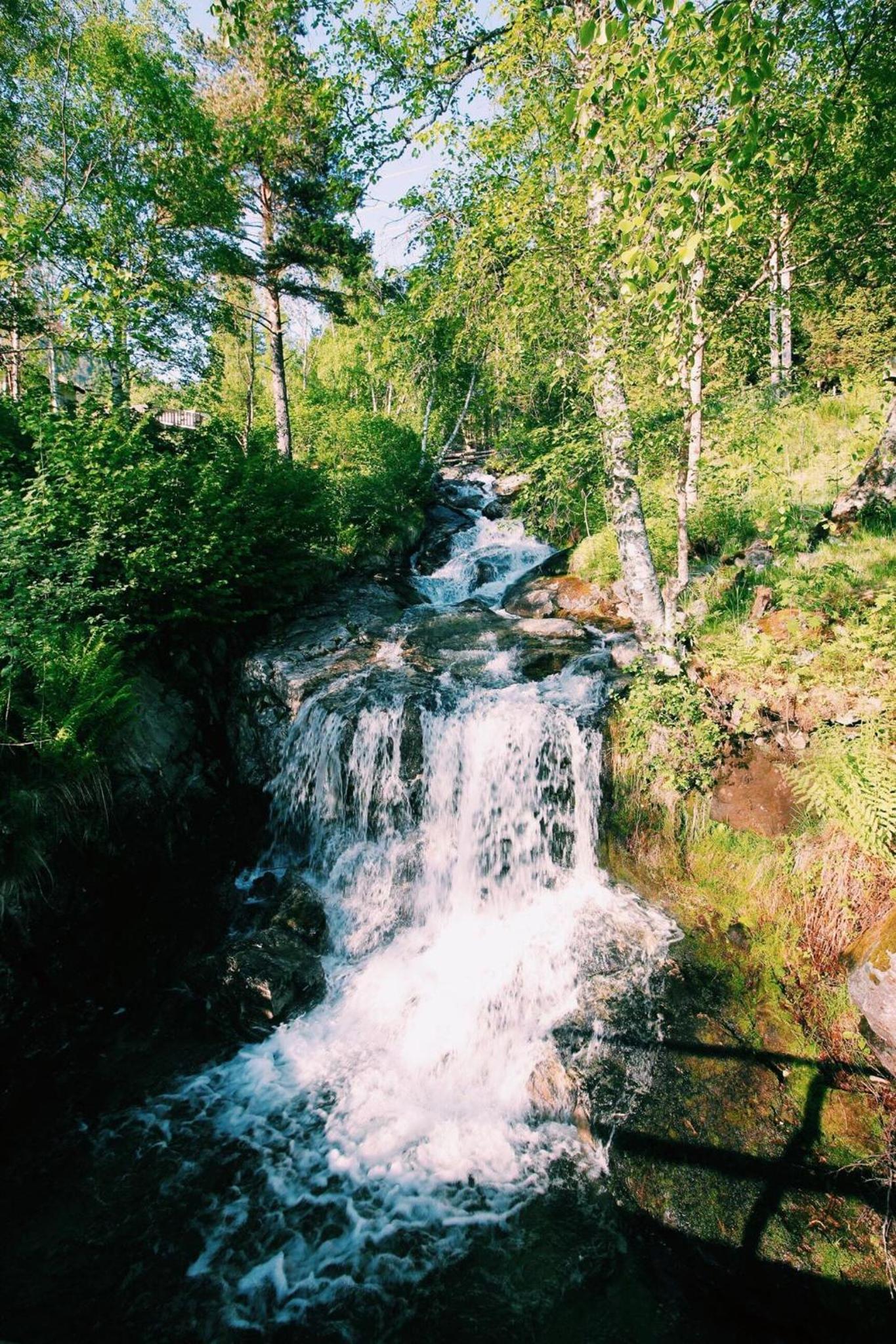 Photo 7