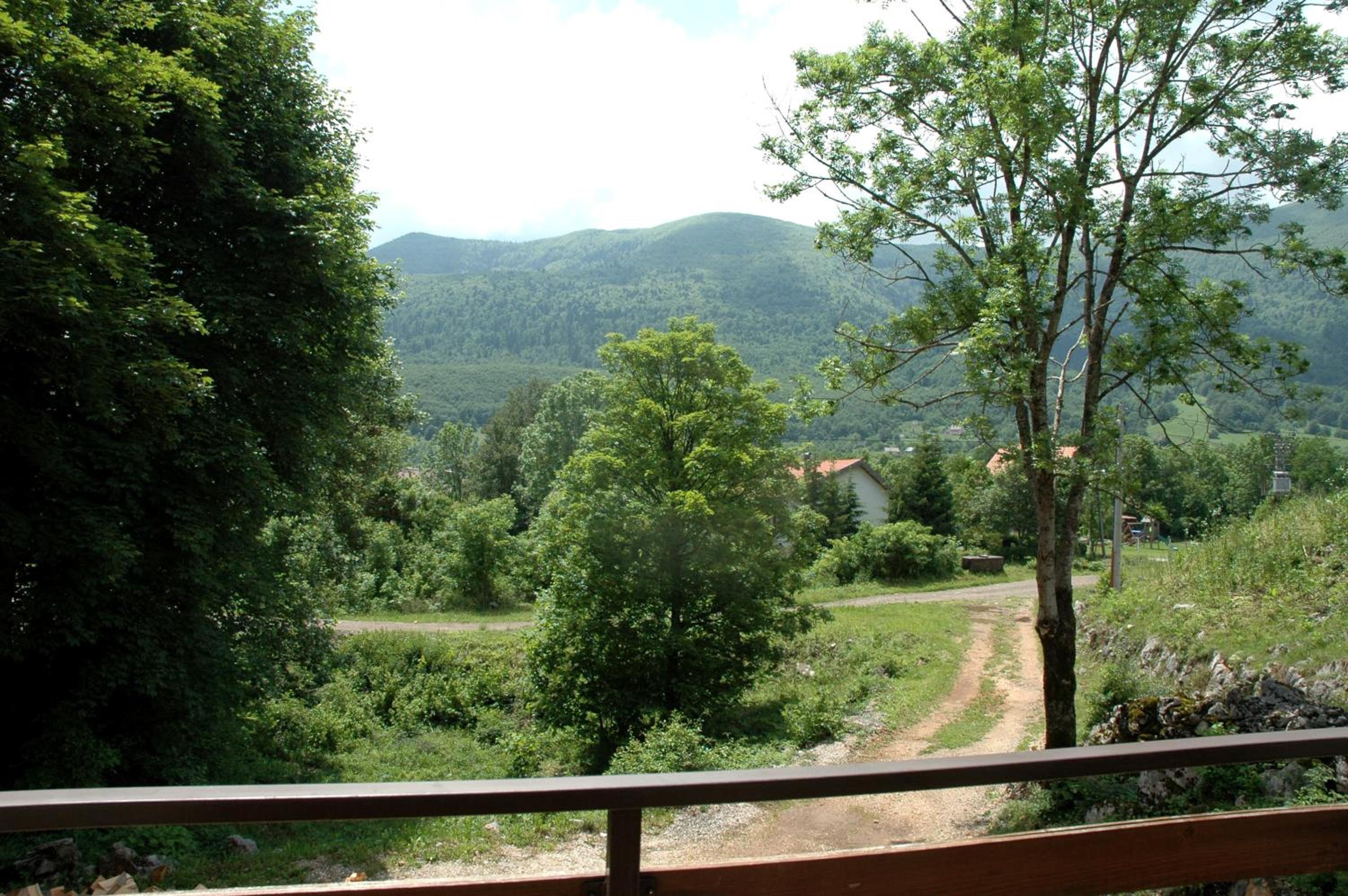 Photo 23