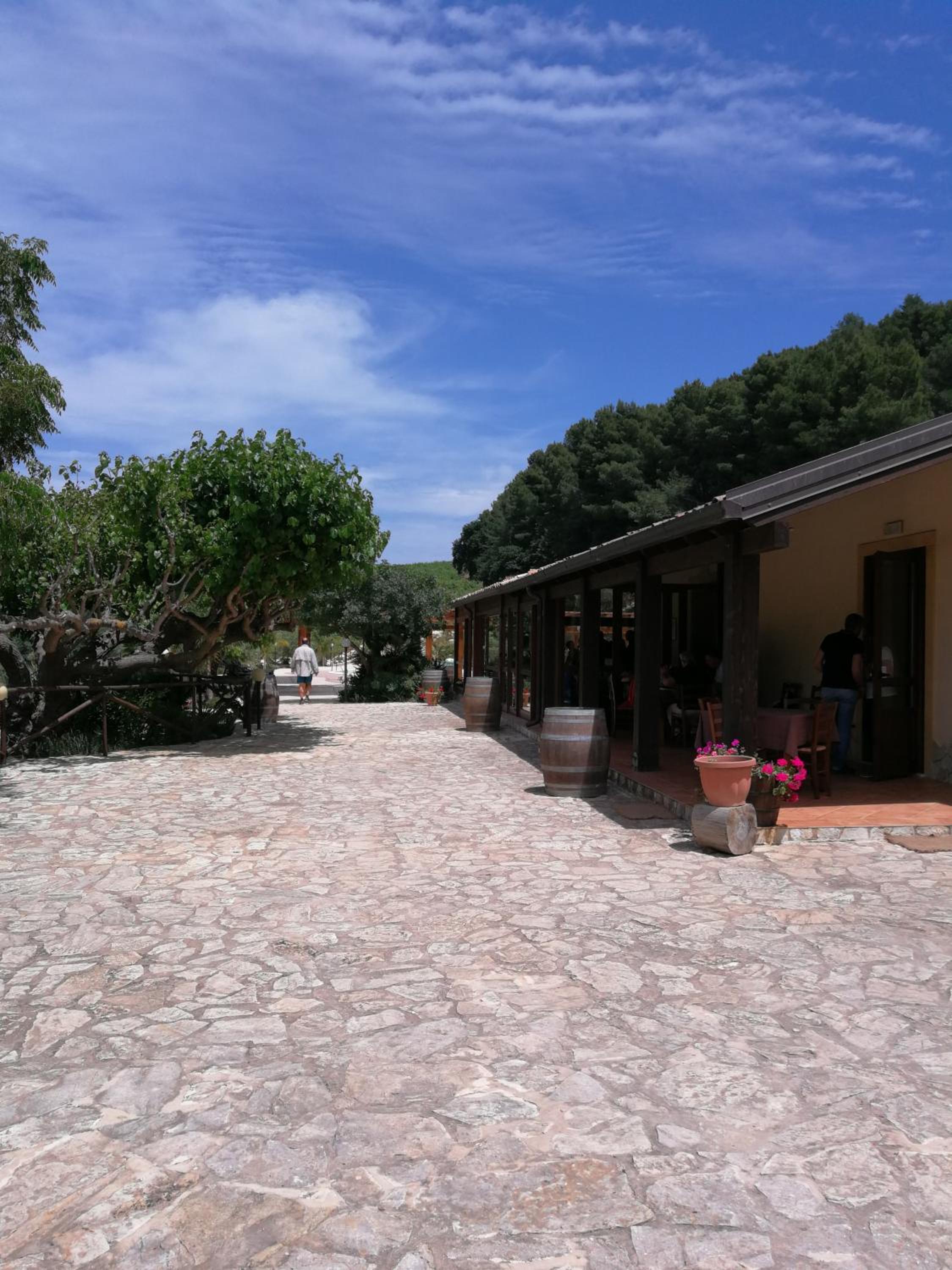 Photo 42