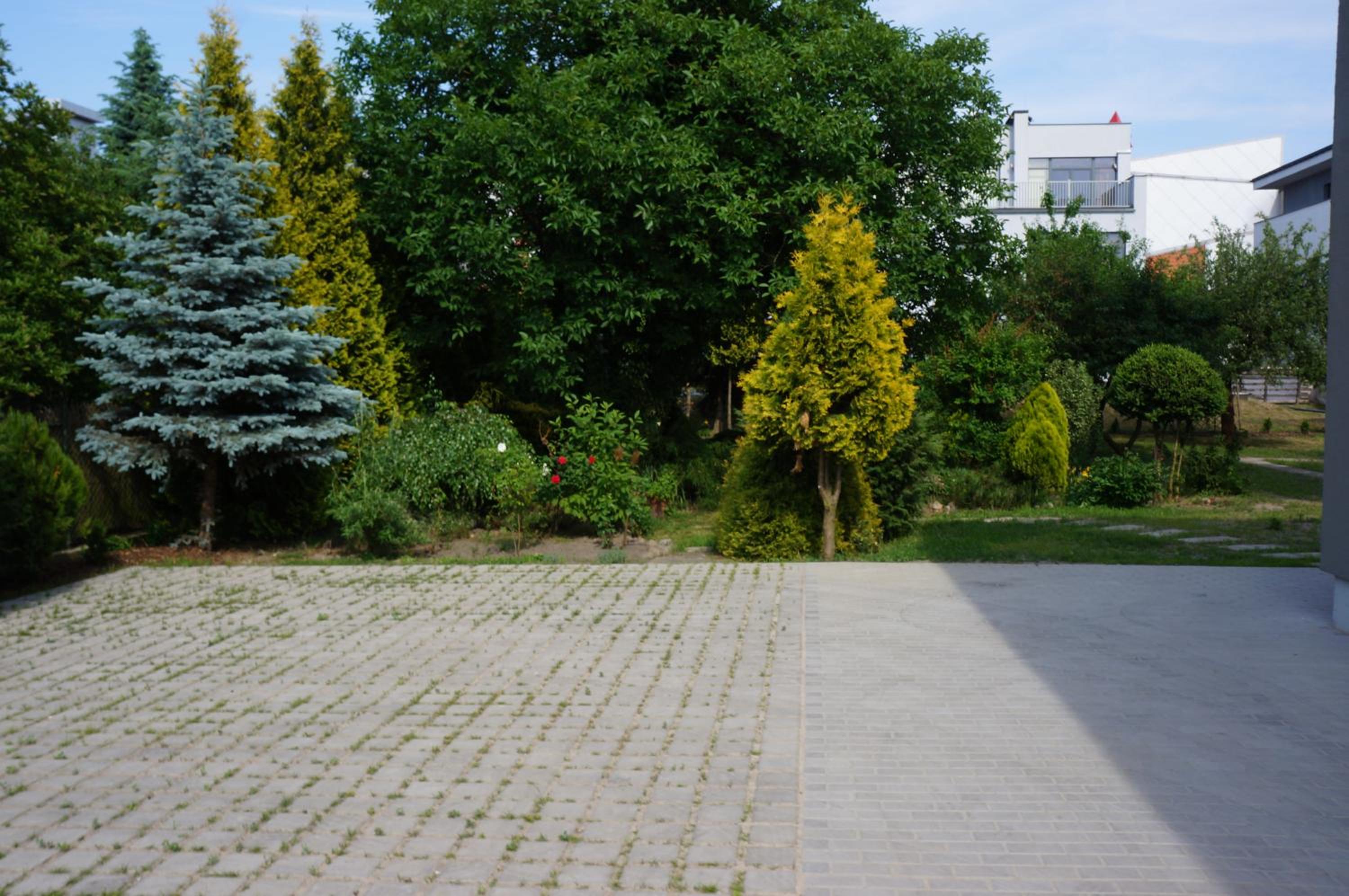 Photo 48