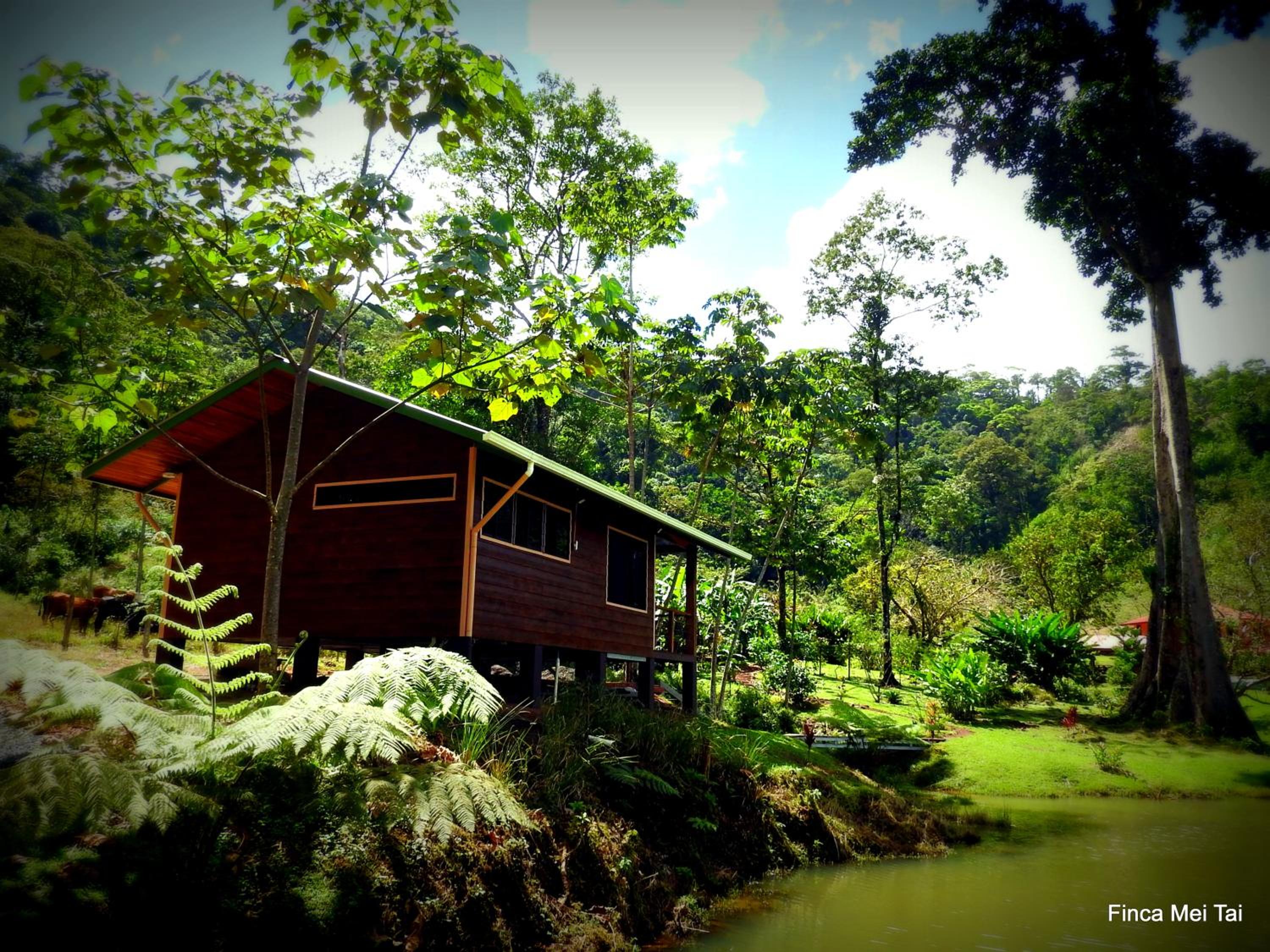 Mei Tai Cacao Lodge