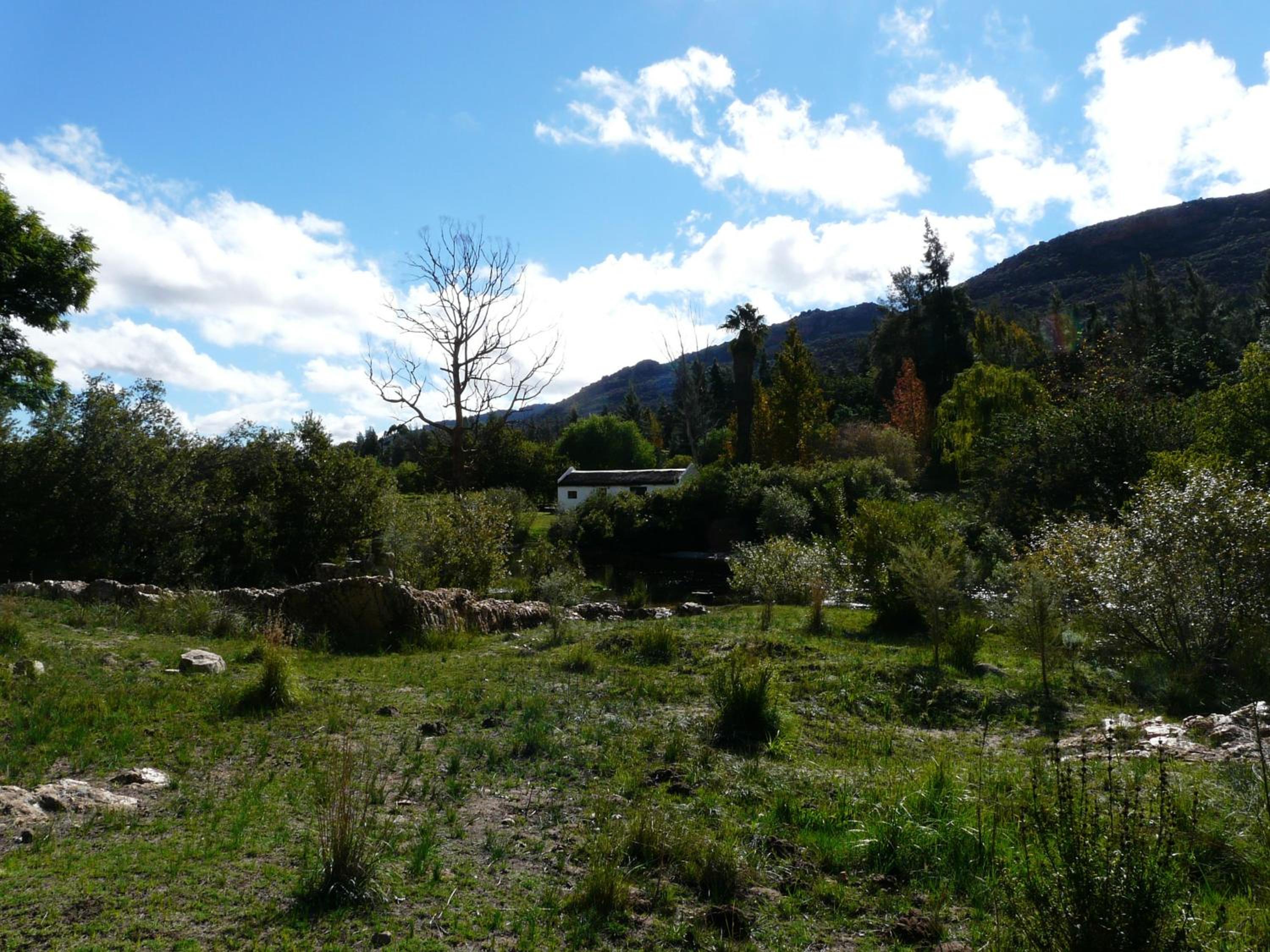 Photo 32