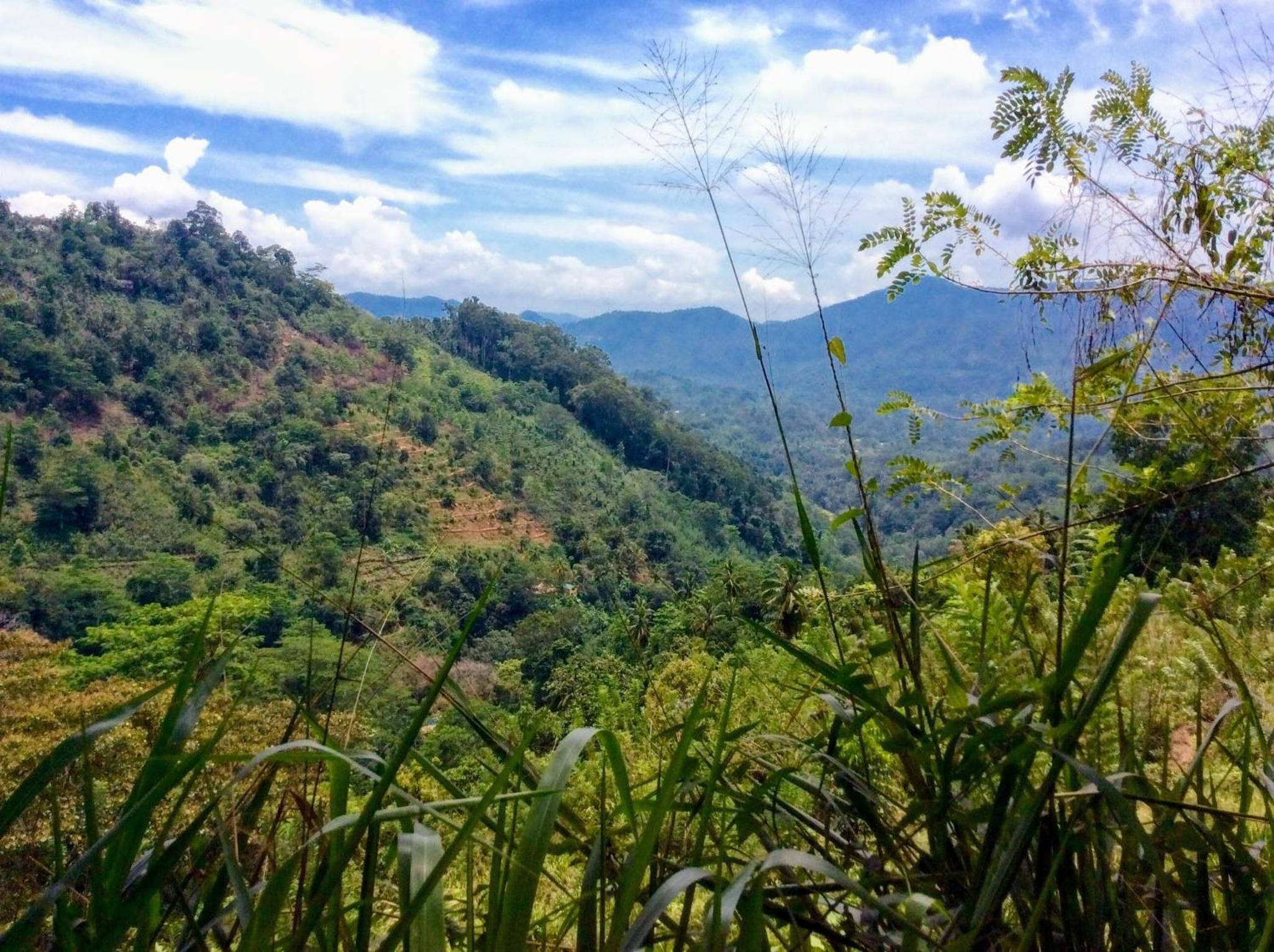 Natural Mystic Sanctuary