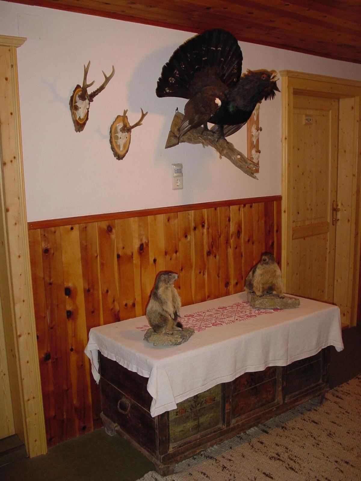 Pension - Bauernhof