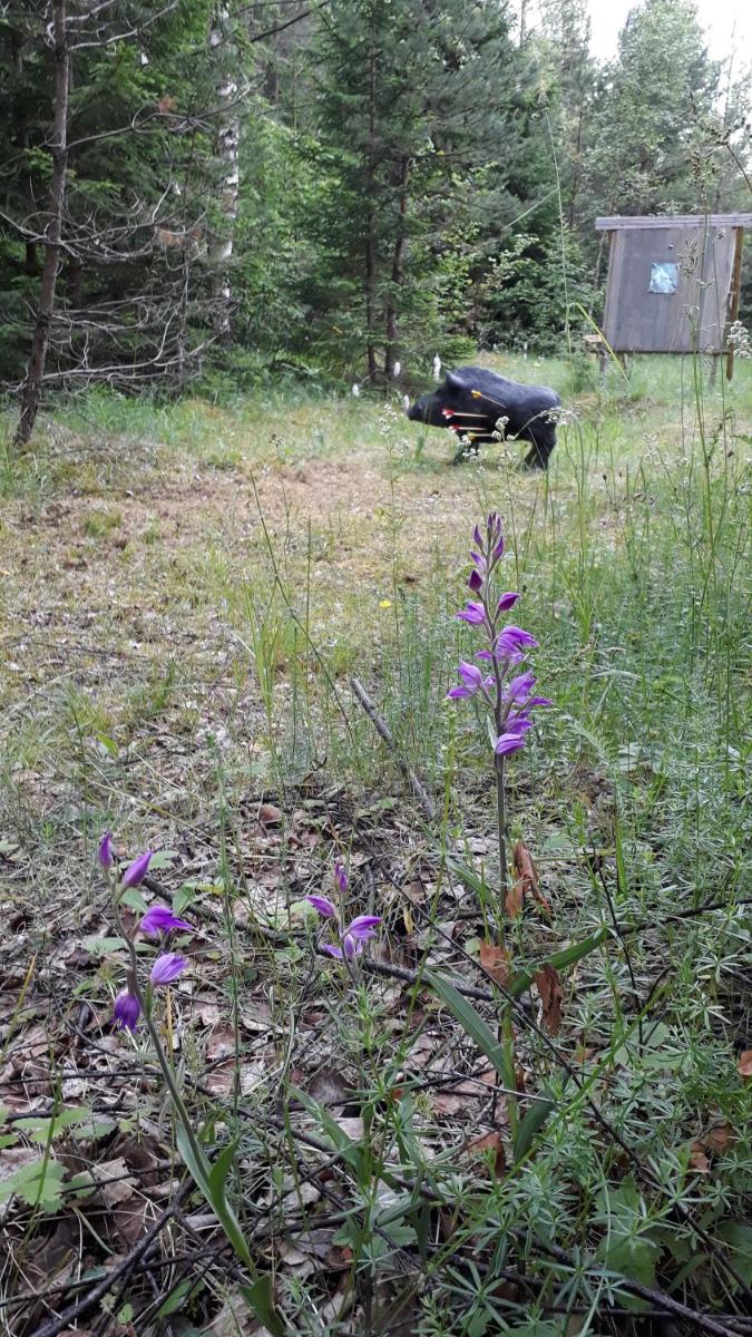 Photo 22