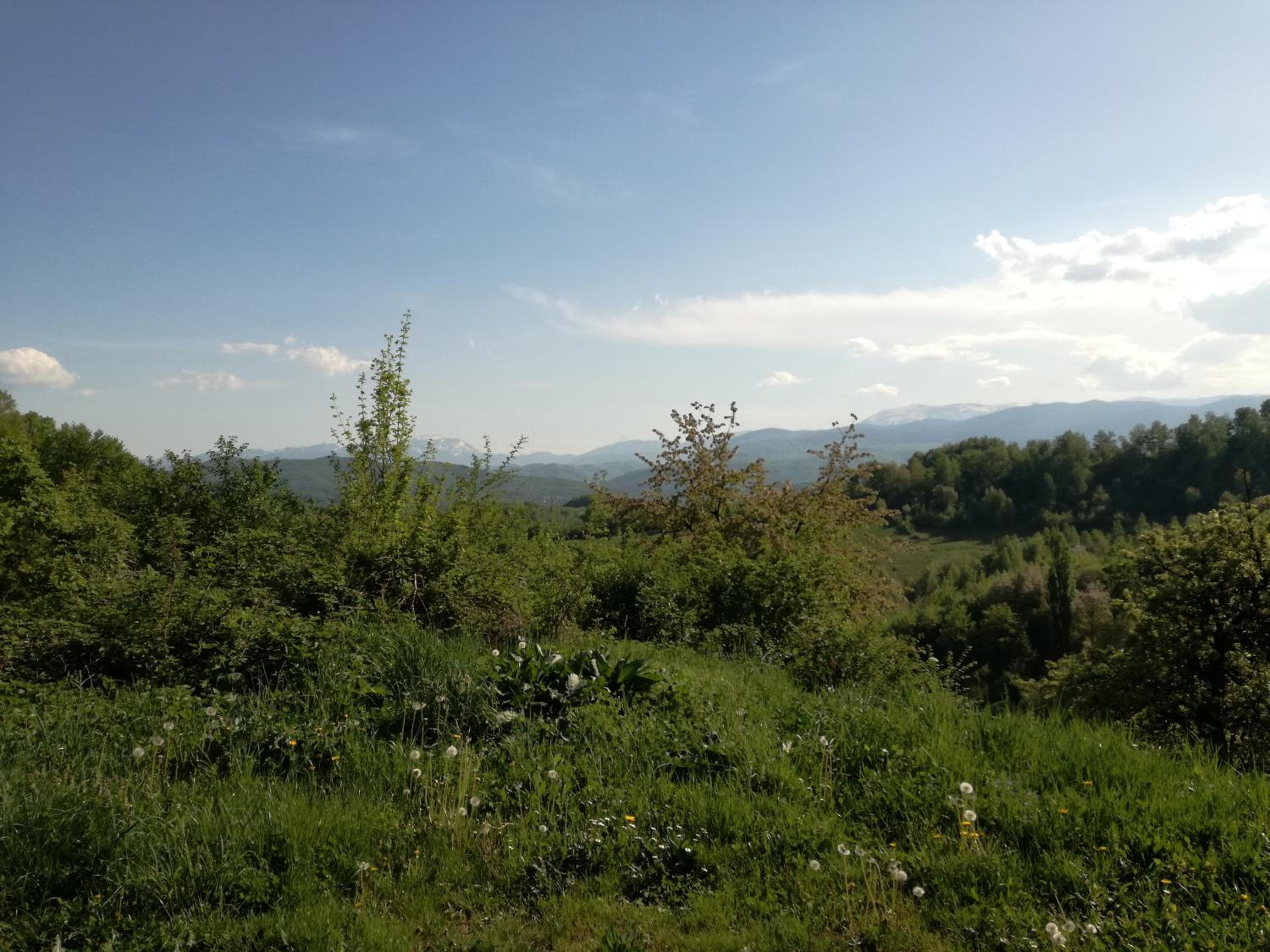 Photo 32