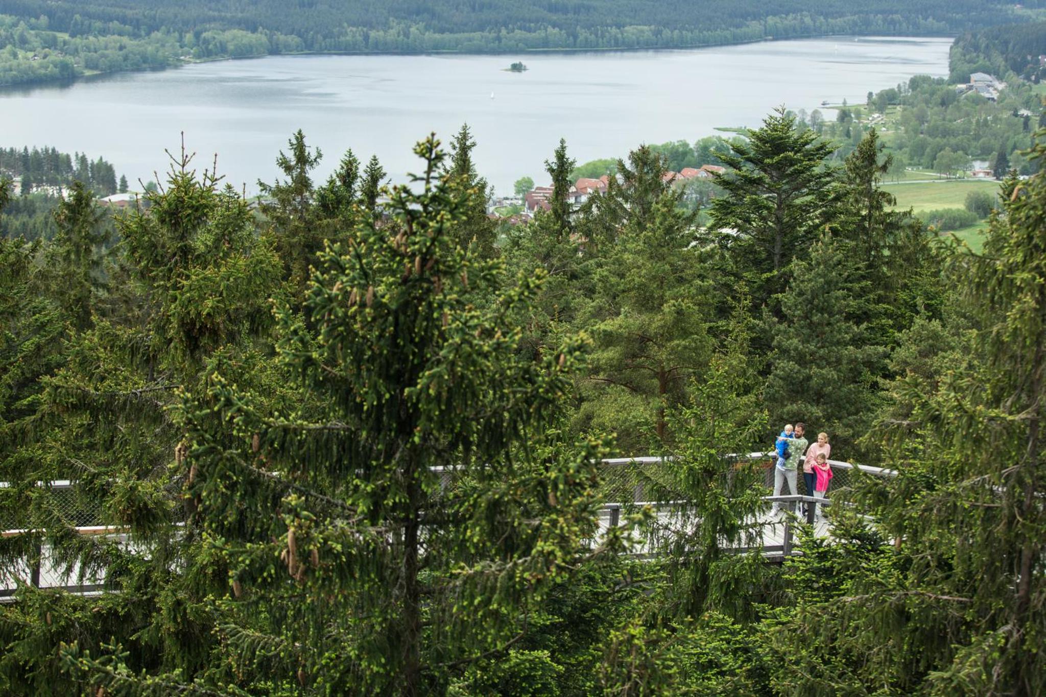 Apartmán Lipno 50/18