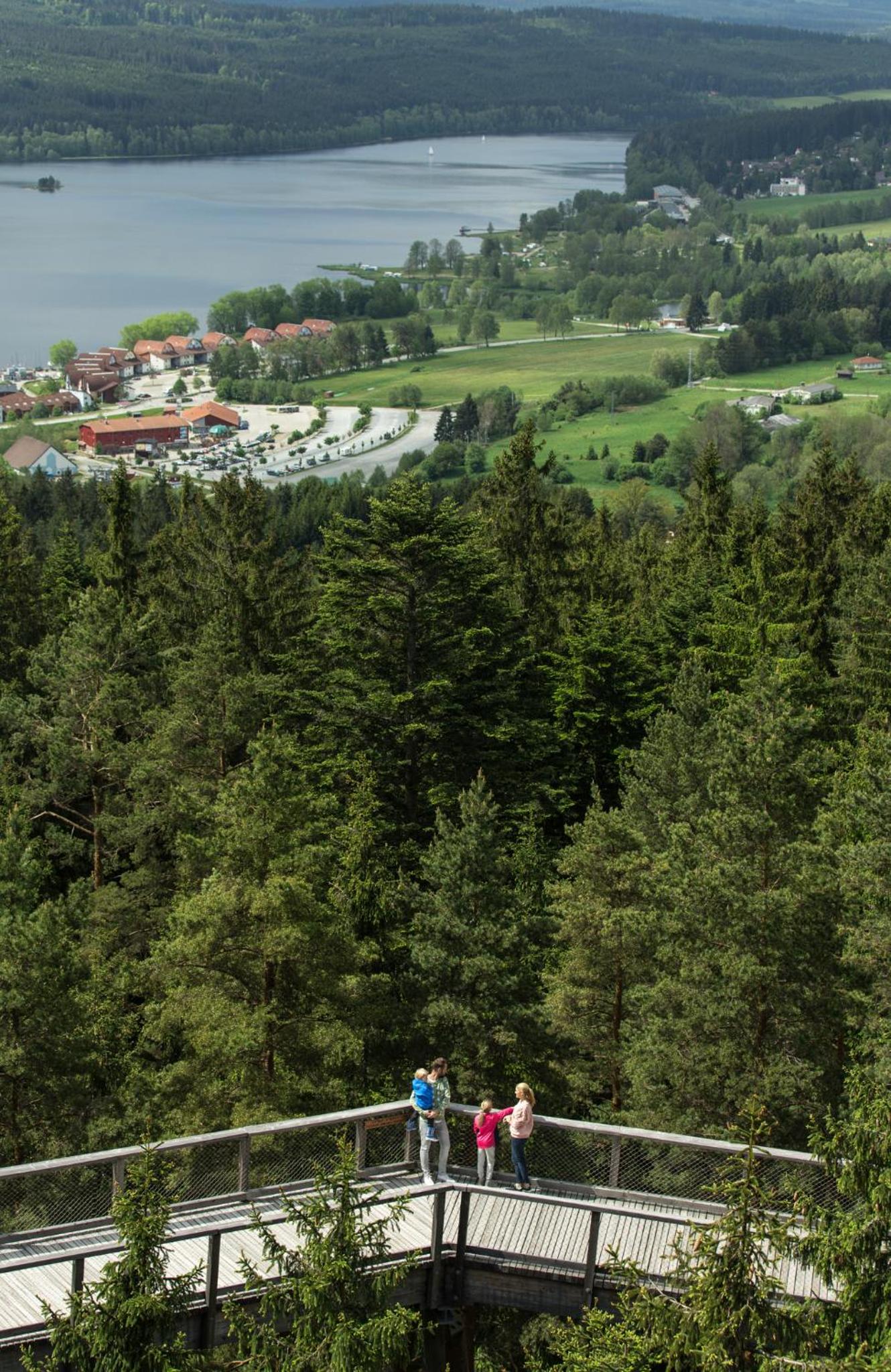 Apartmán Lipno 50/18