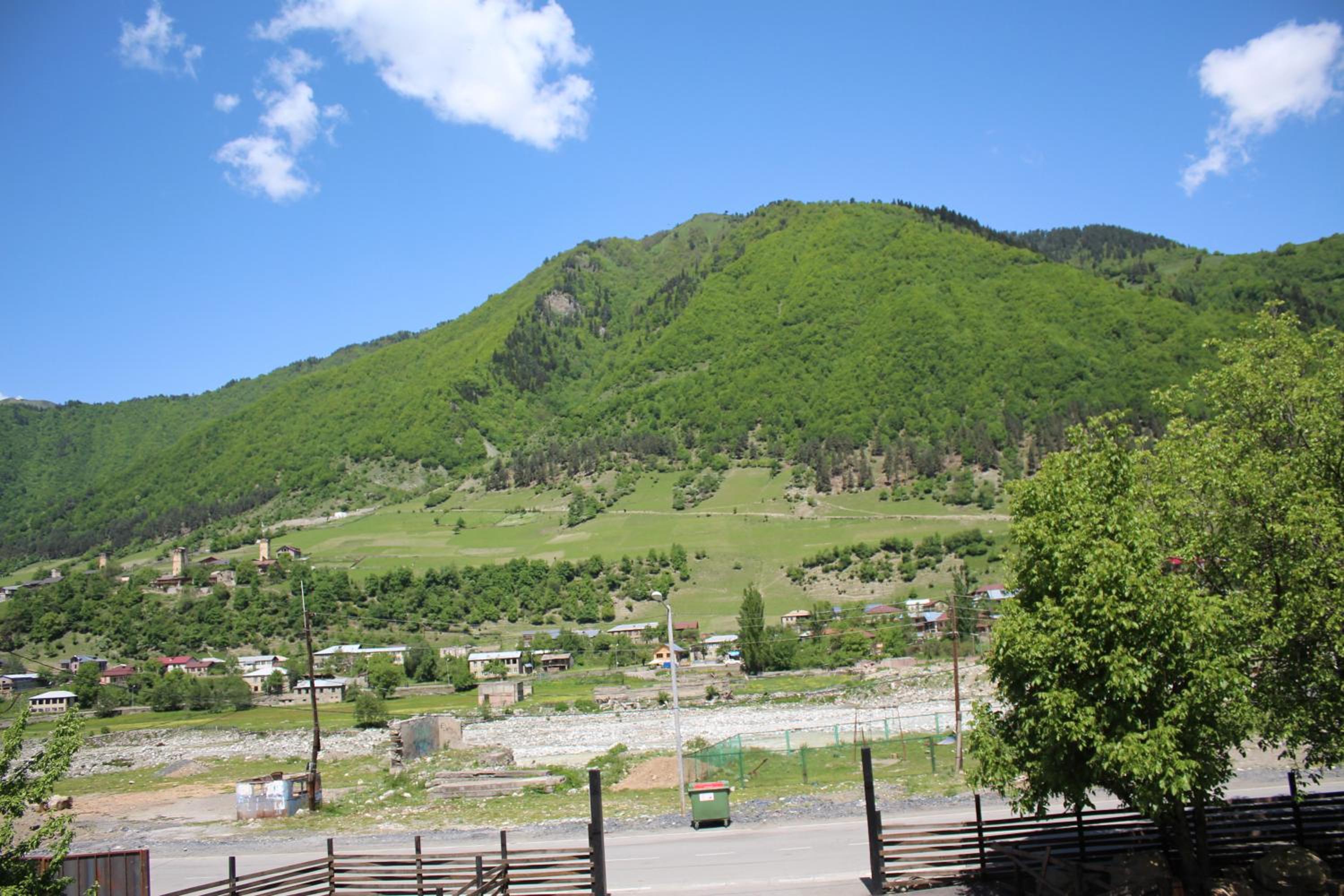 Photo 11