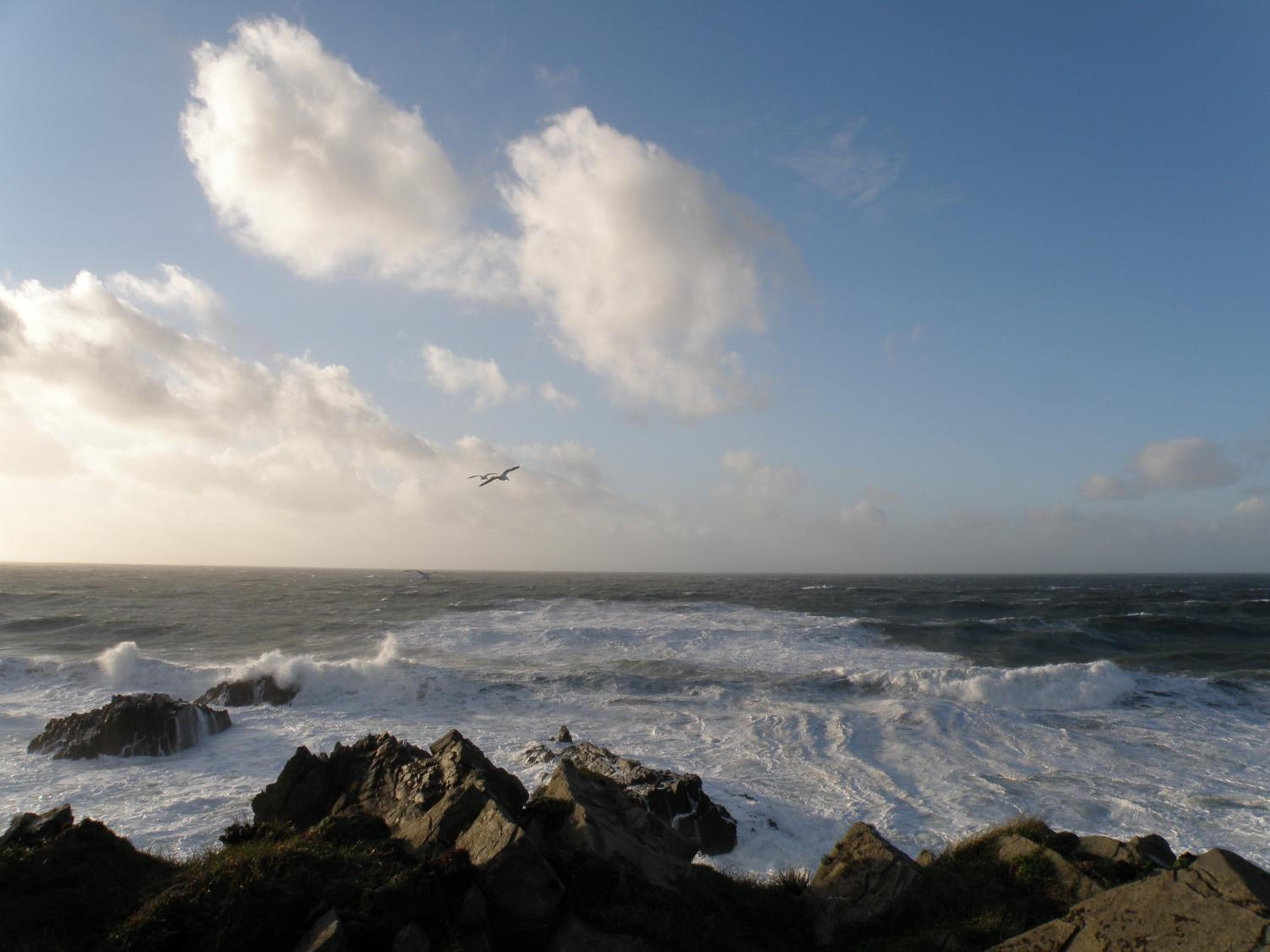 Hartland Quay Hotel 17
