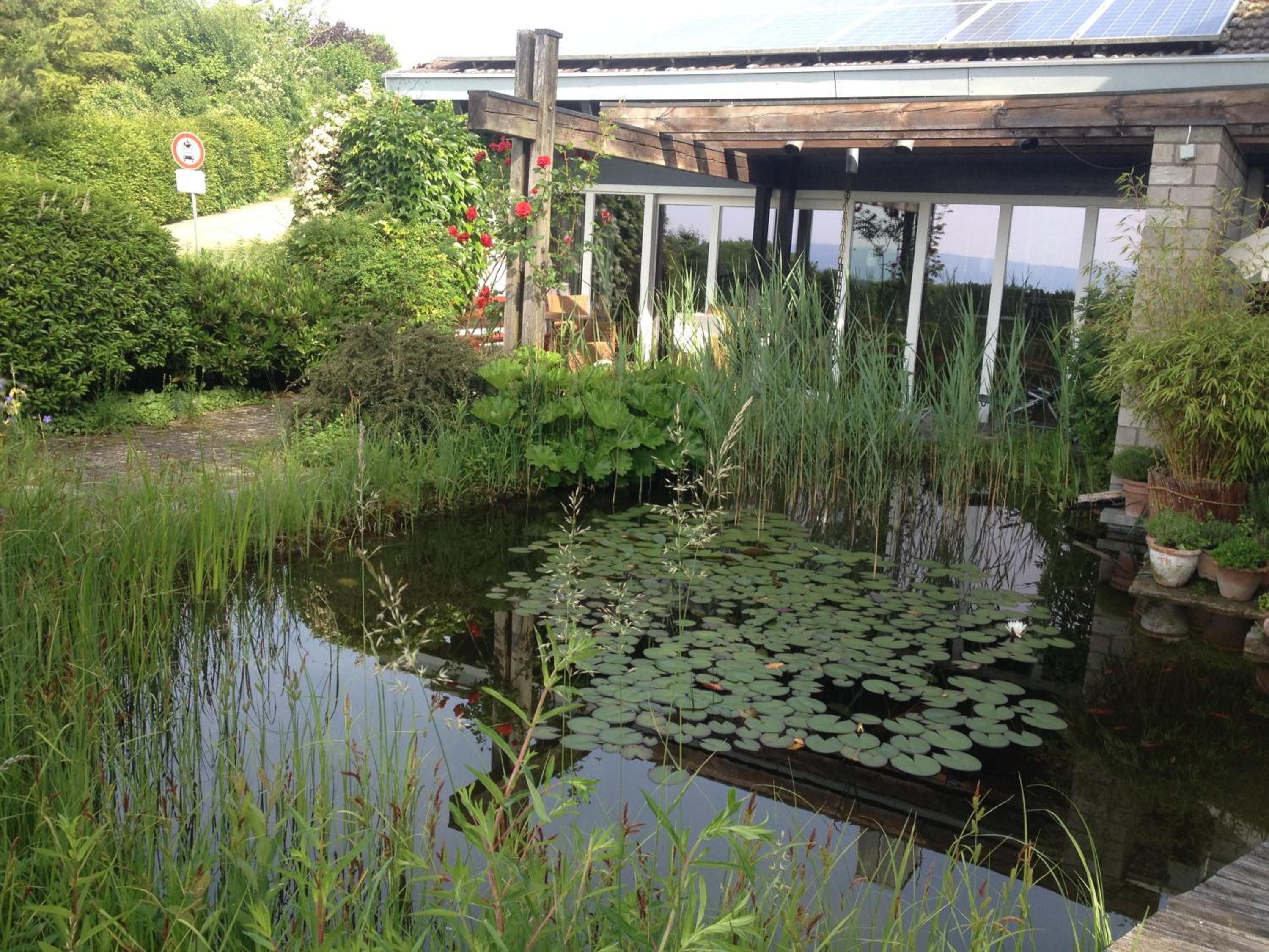 Ferienhaus am Litzelberg FWO-194-2024