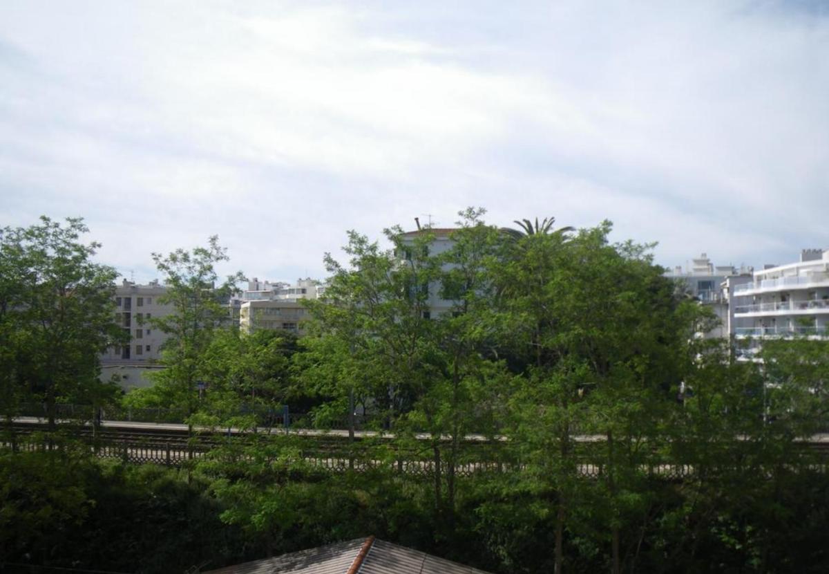Photo 38