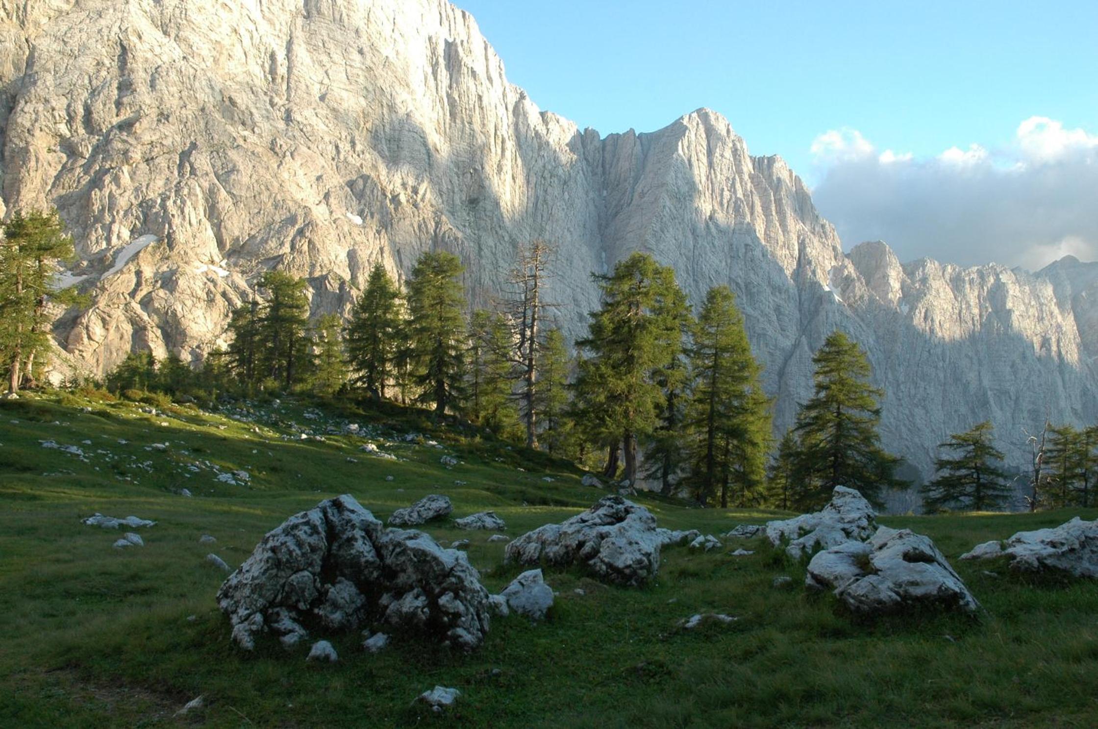 Photo 35