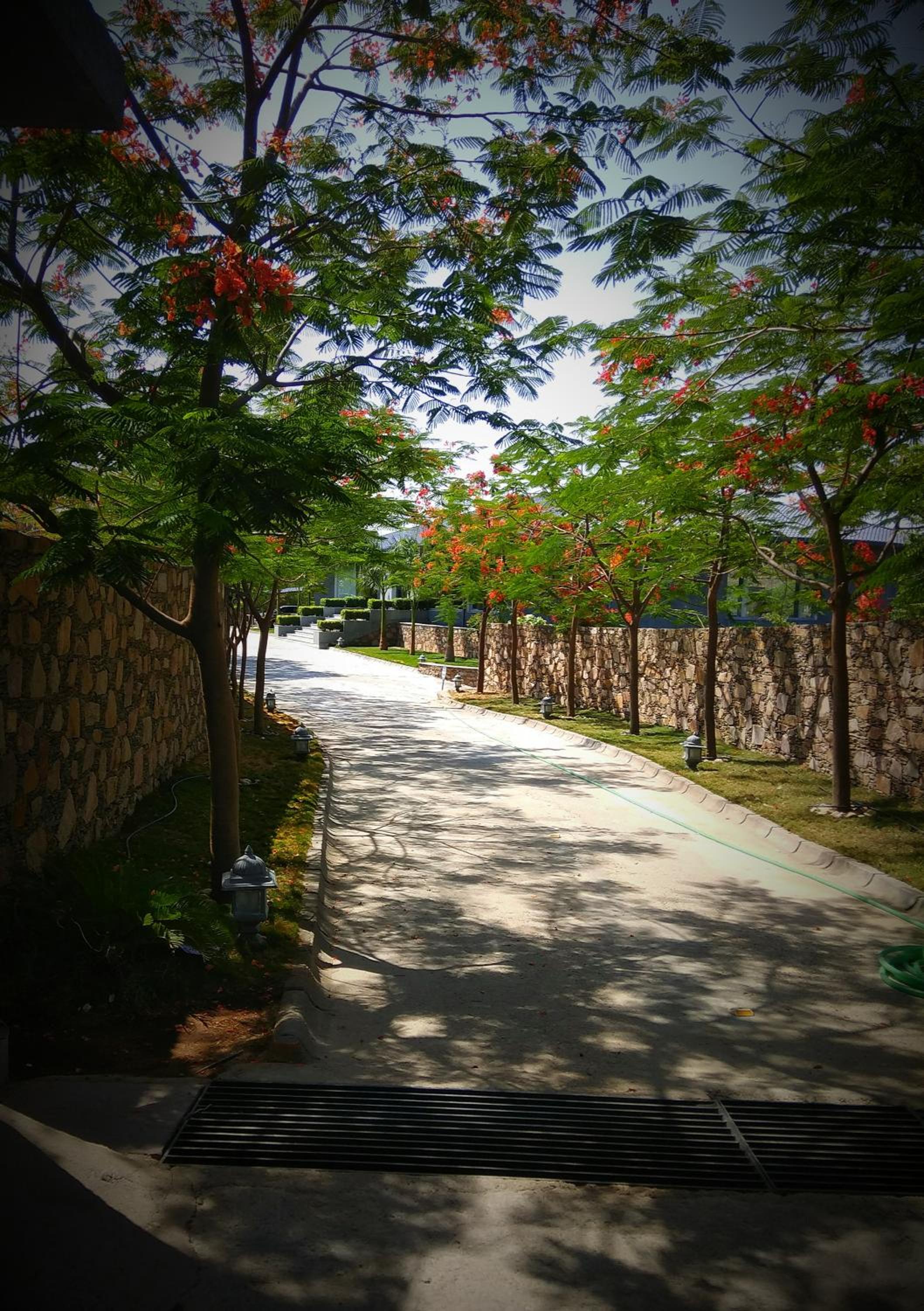 TatSaraasa Resort & Spa, Udaipur