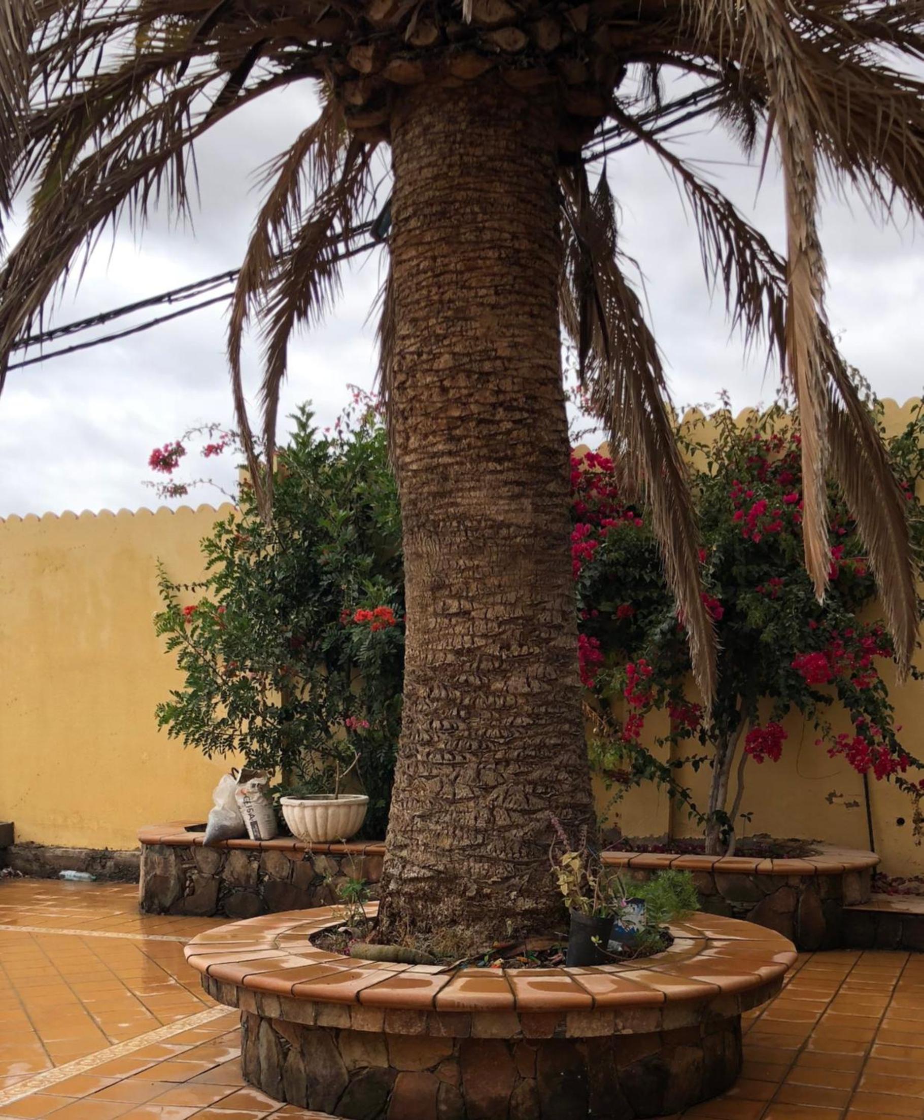 Villa Beatriz
