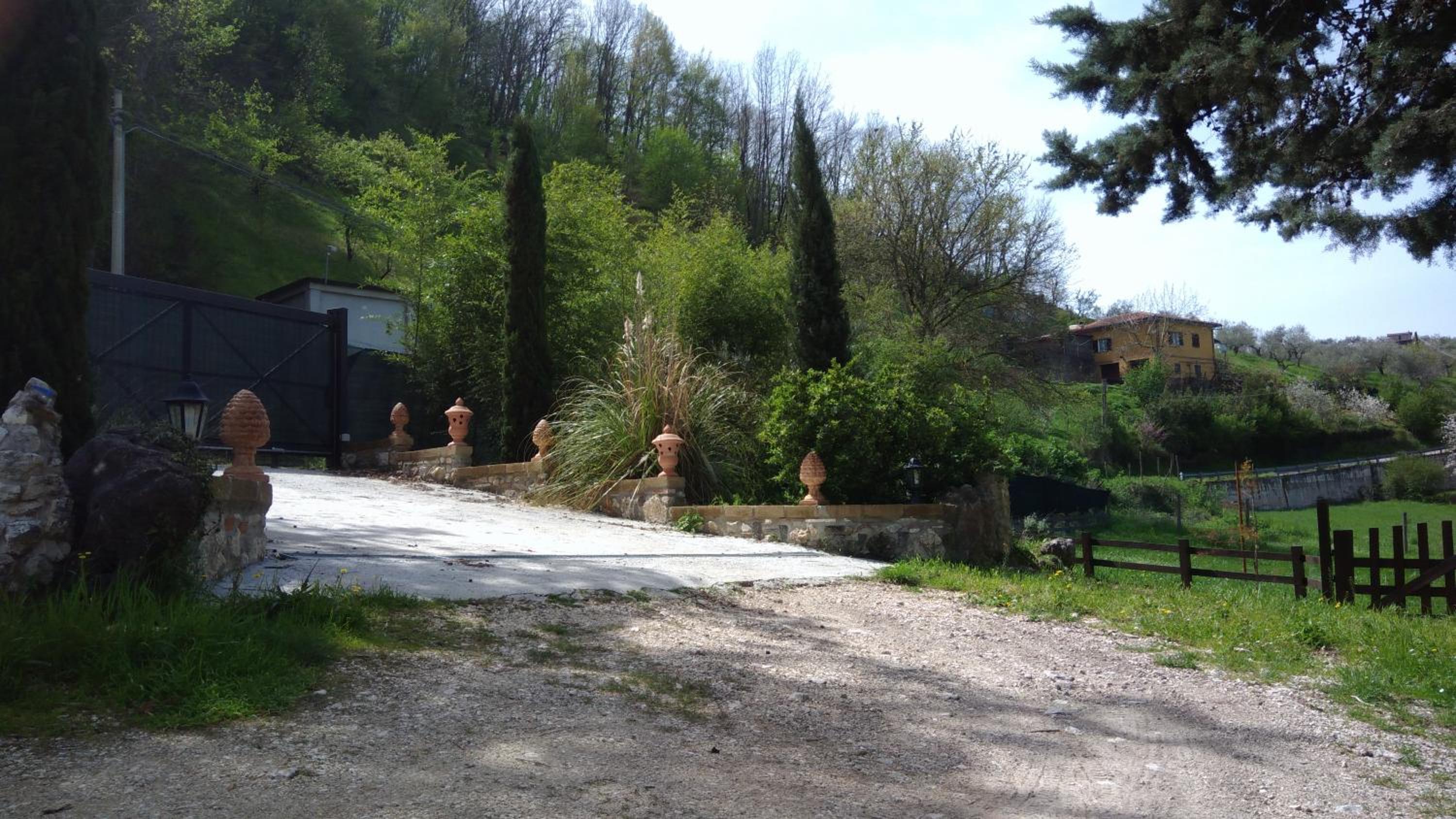 Photo 12