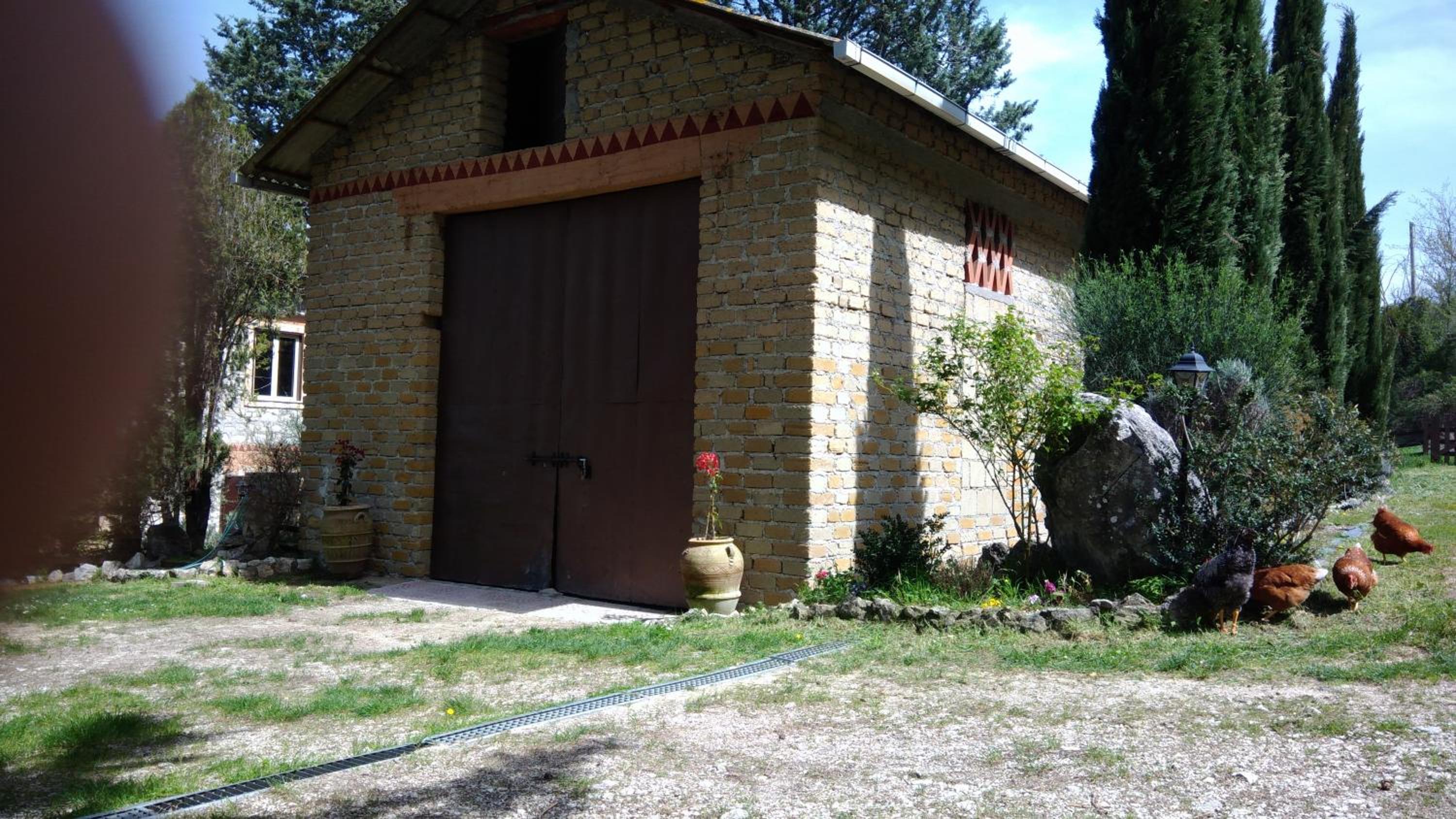 Photo 11