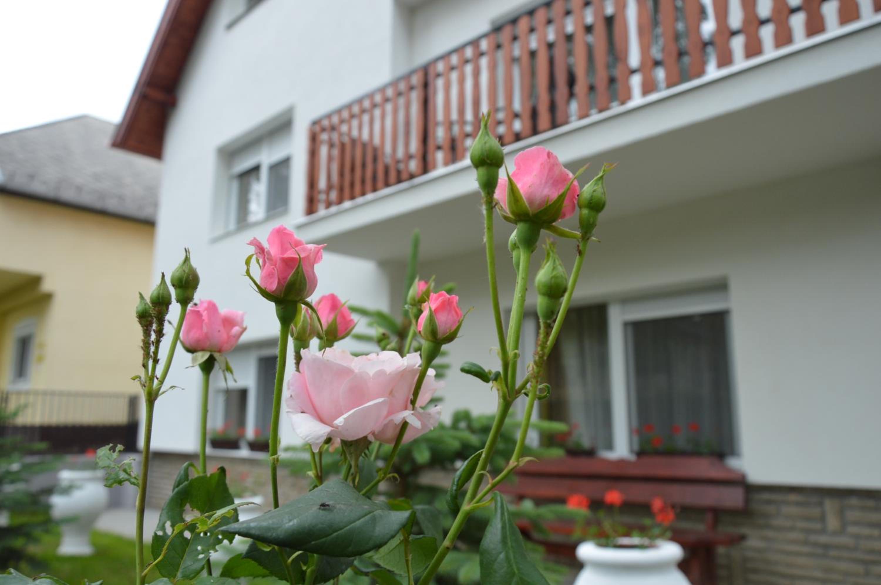 Varga Apartman Hévíz view 4