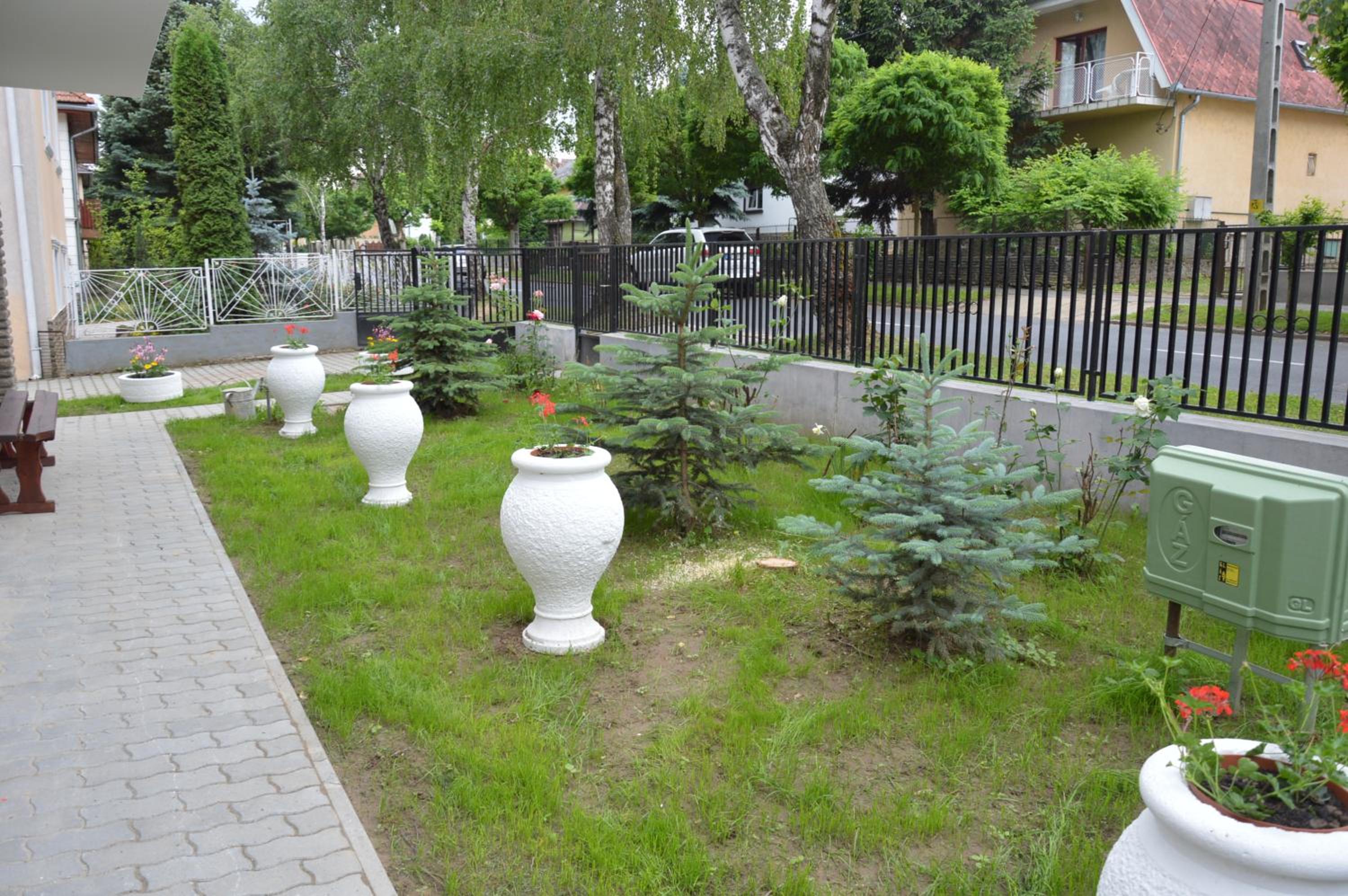 Photo 31