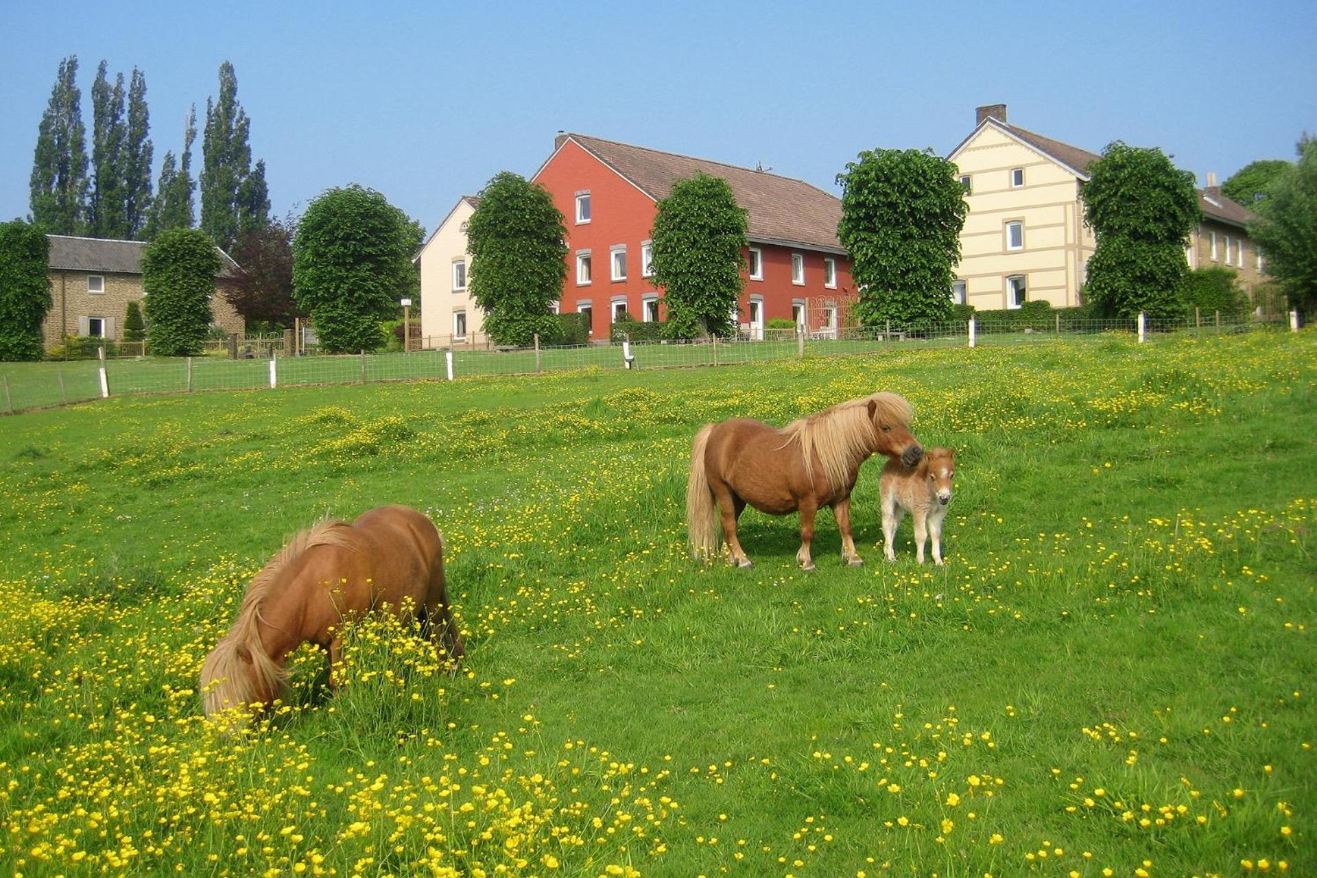 Bungalowpark Landsrade