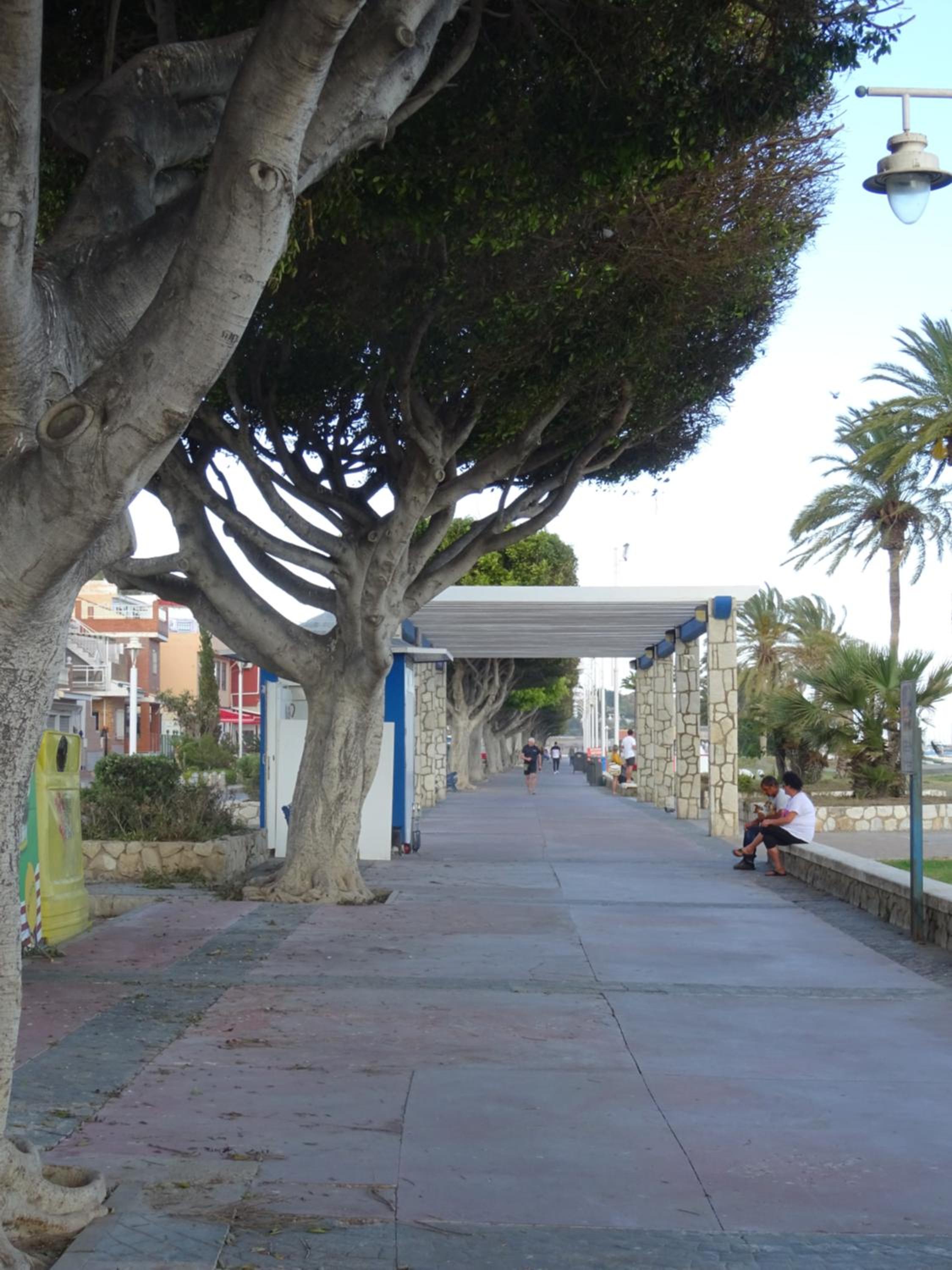 Carmen Apartamento