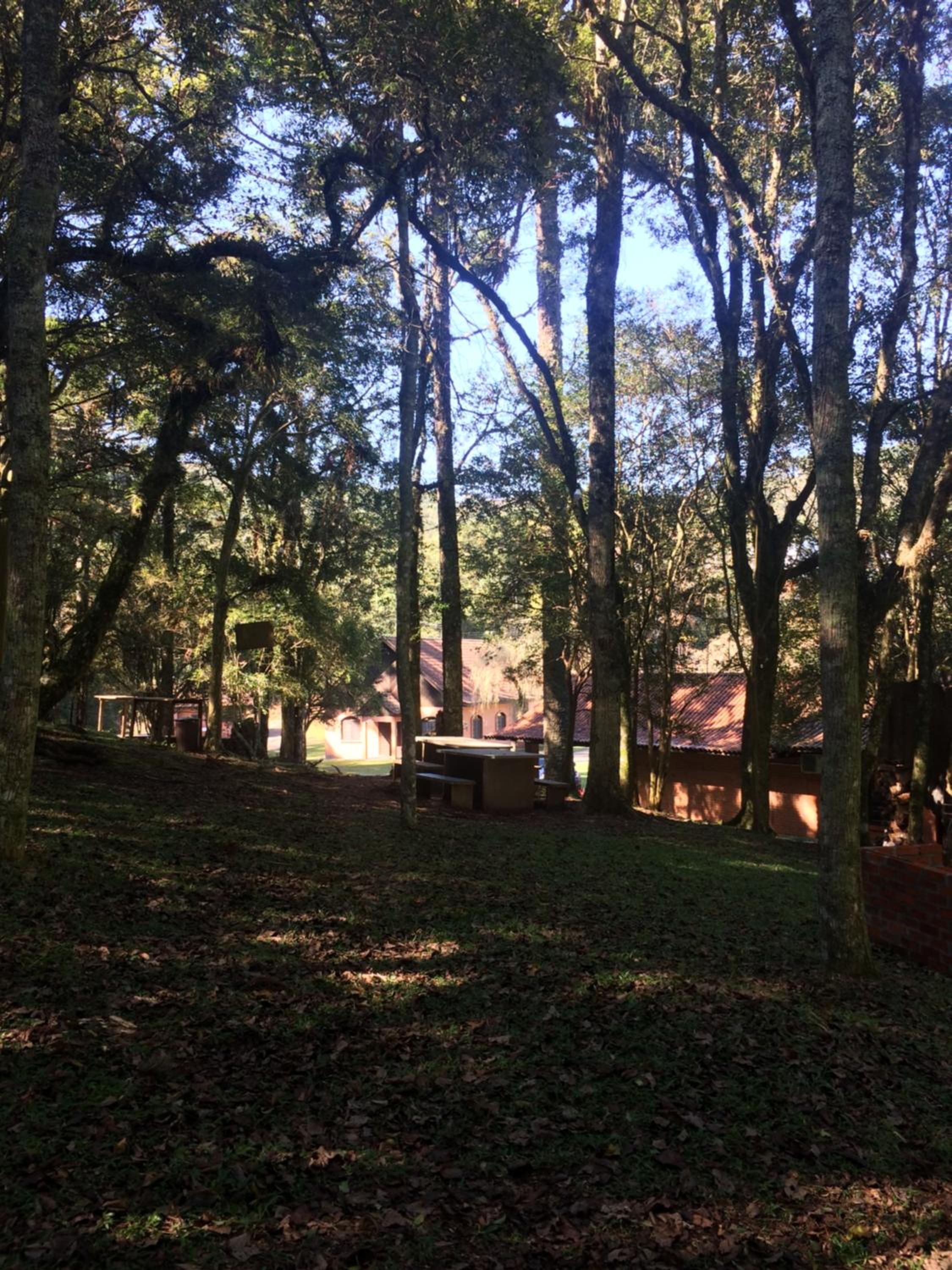 children's play area