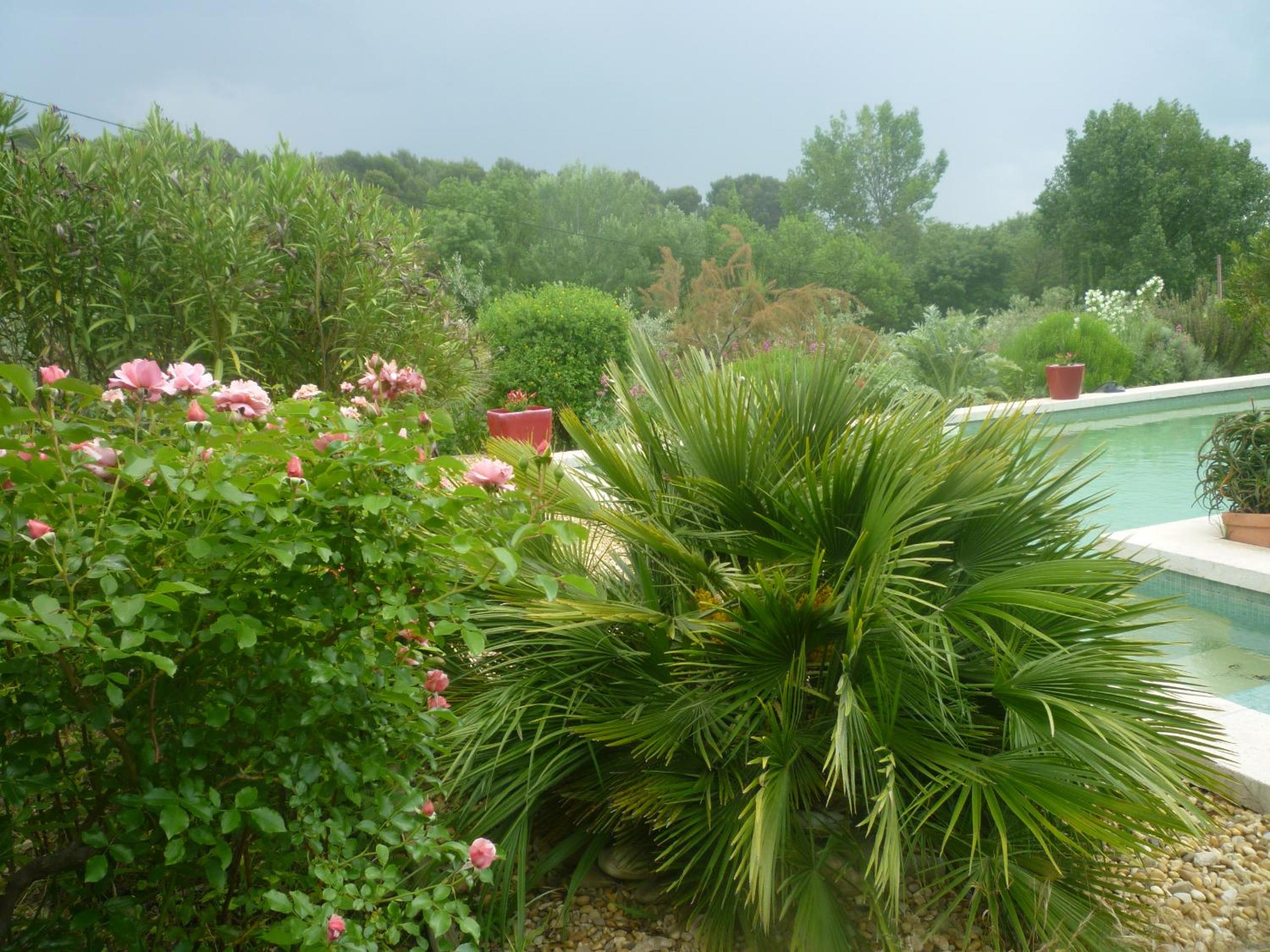 Photo 11