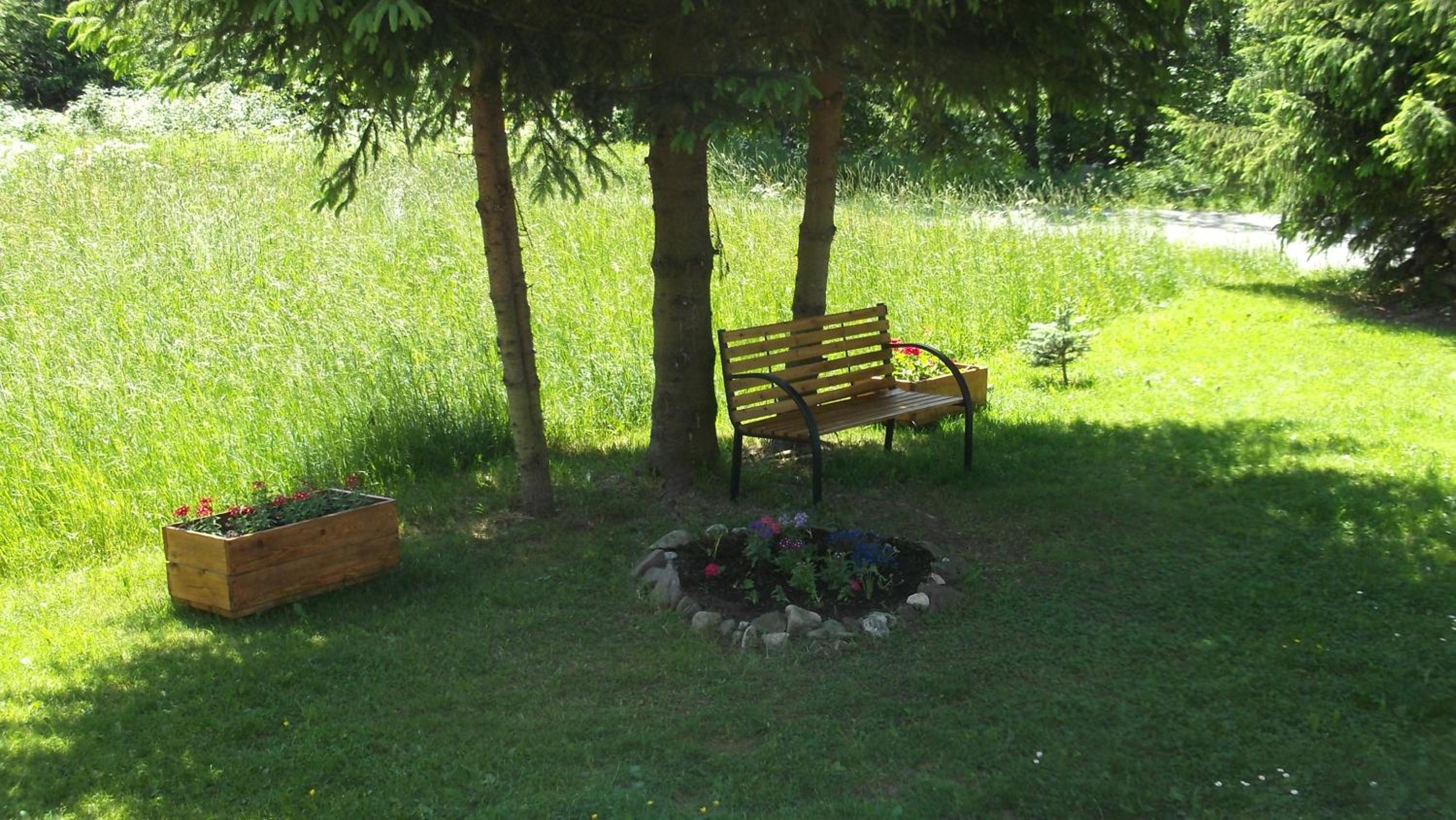 Photo 8