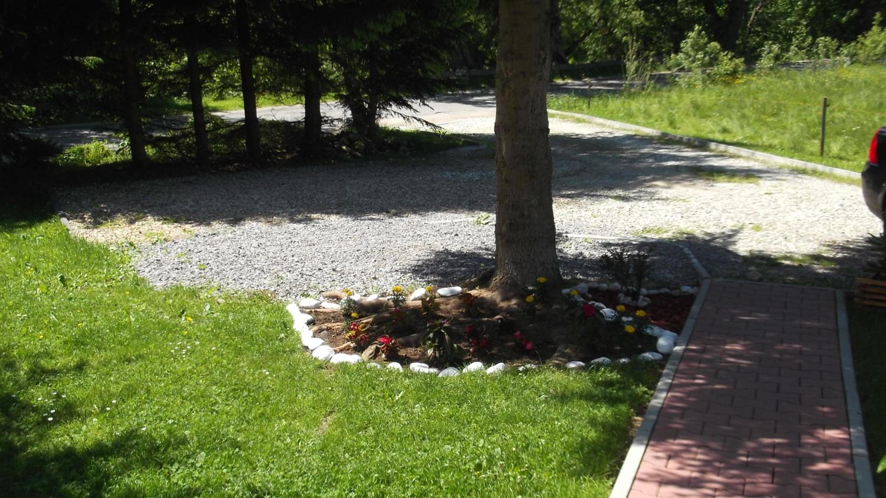 Photo 44