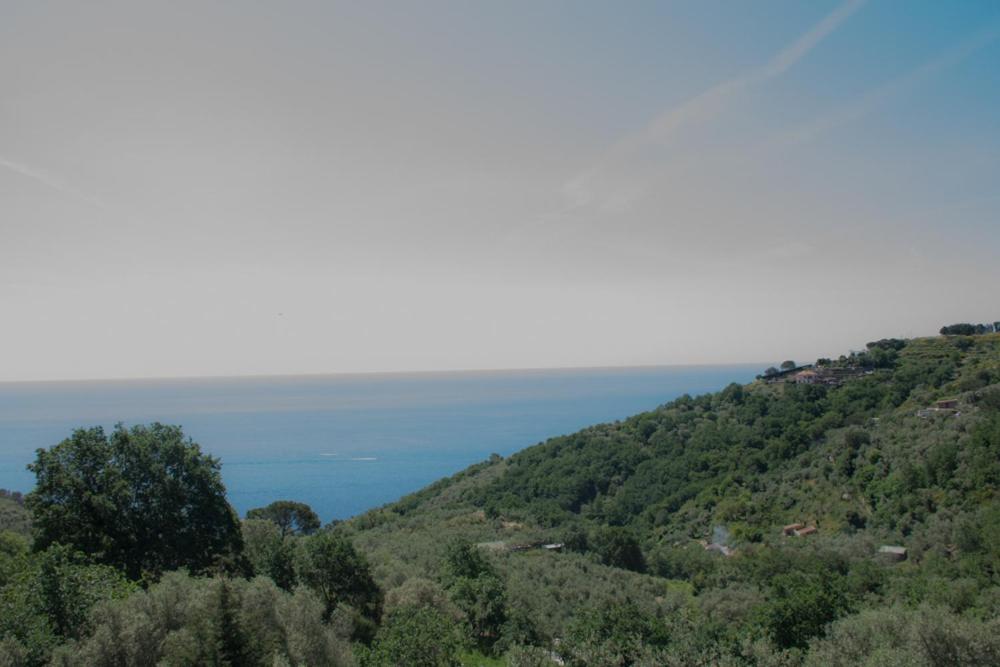 Casa Il Negrito photo 3