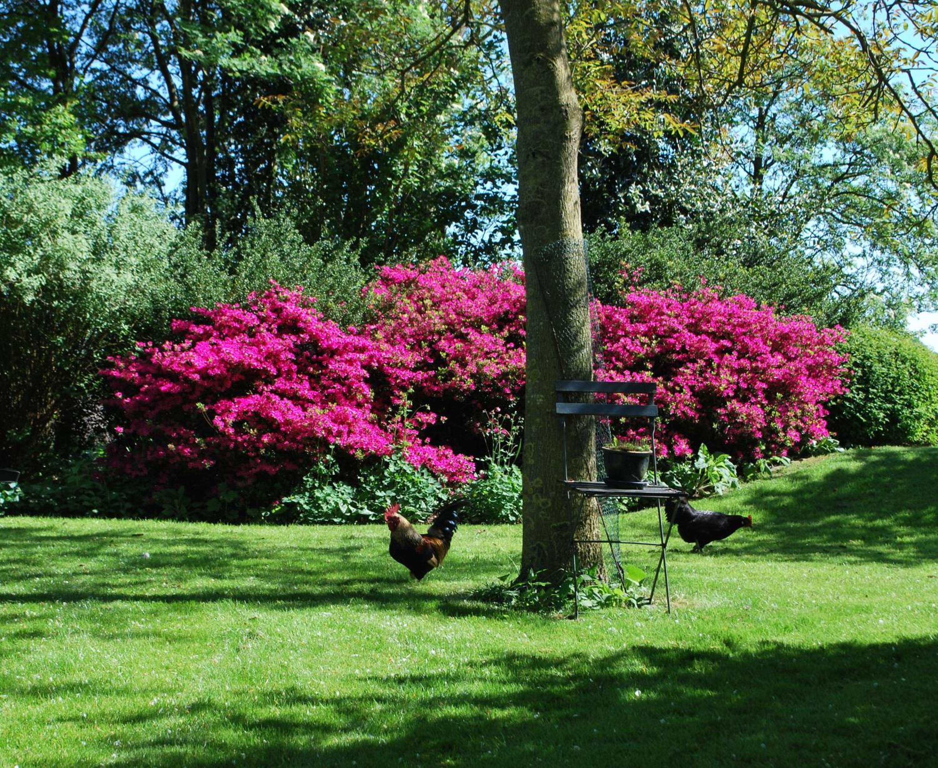 Photo 49